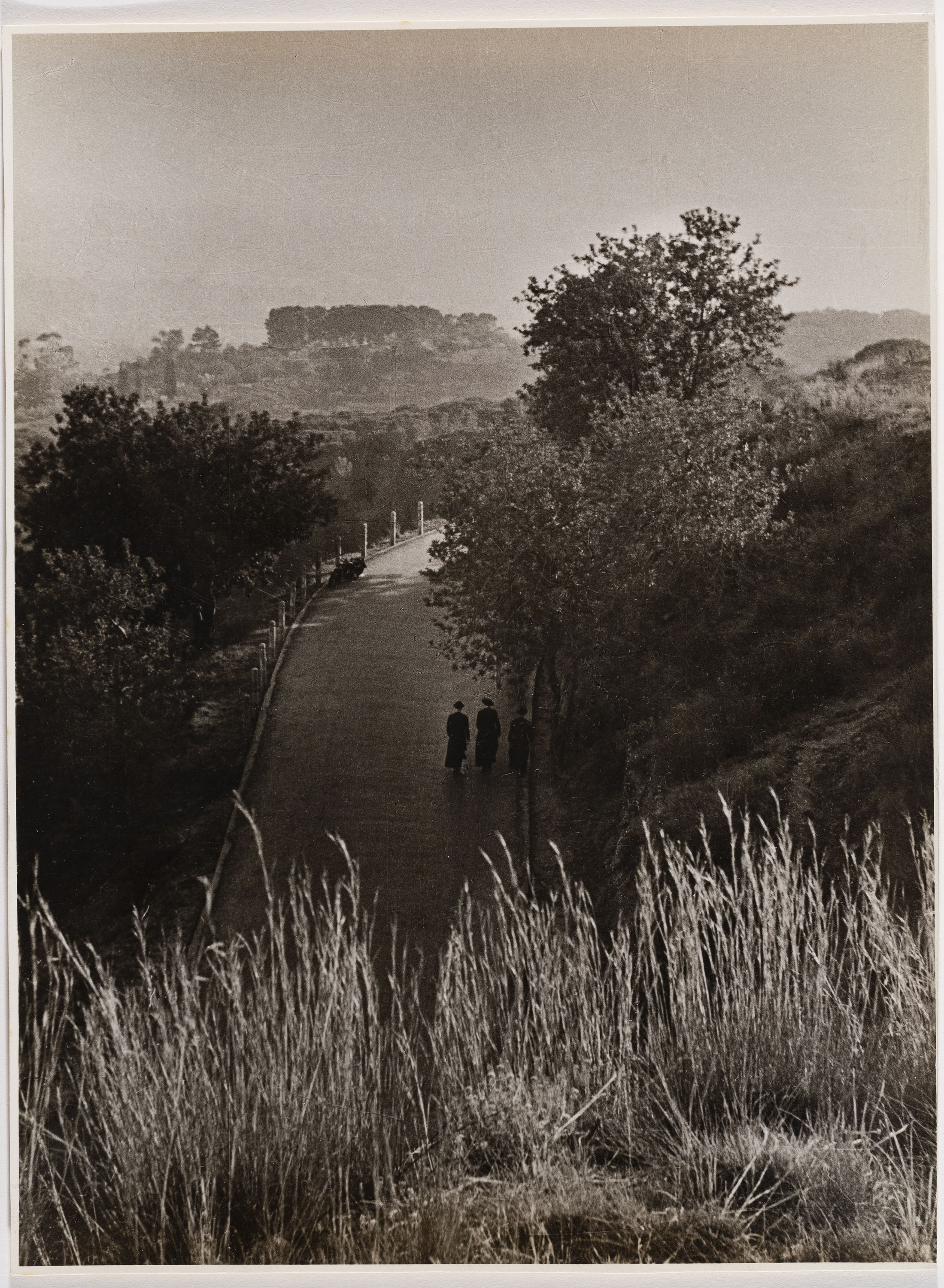 image for: Otho Lloyd - Paisatge - Cap a 1944-1950