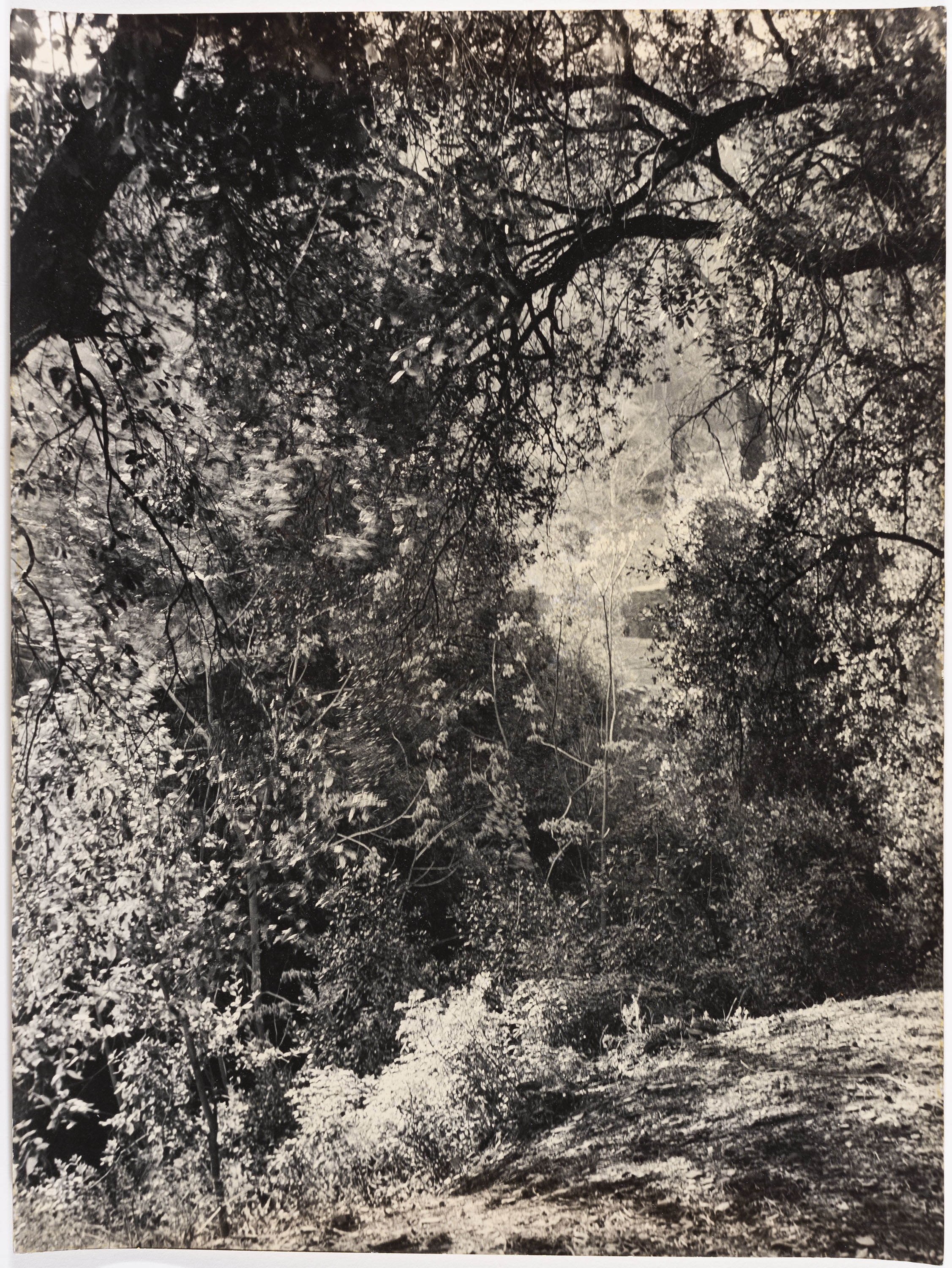 image for: Otho Lloyd - Paisatge - Cap a 1944-1950