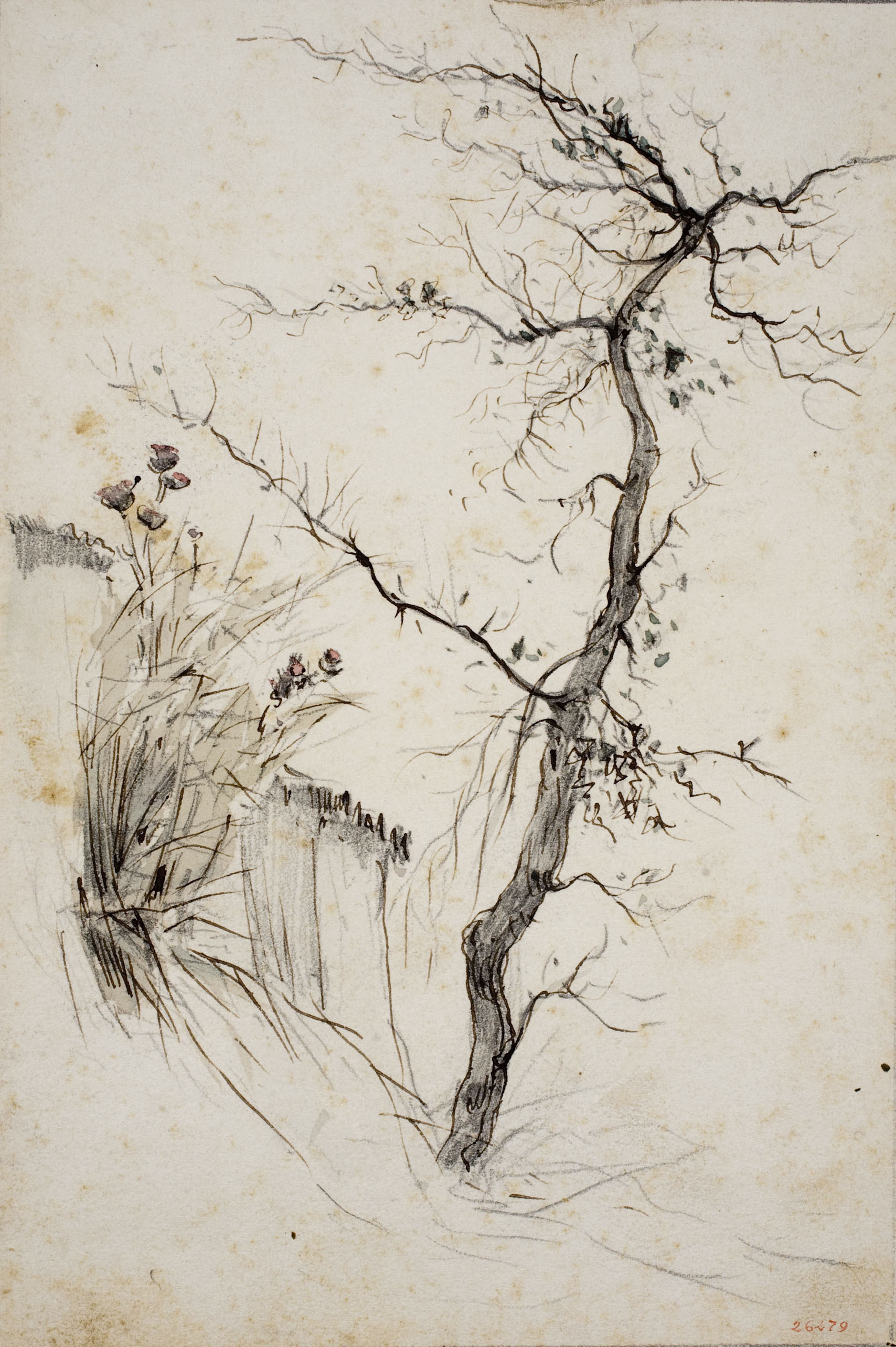 image for: Modest Urgell - Paisatge - Cap a 1864