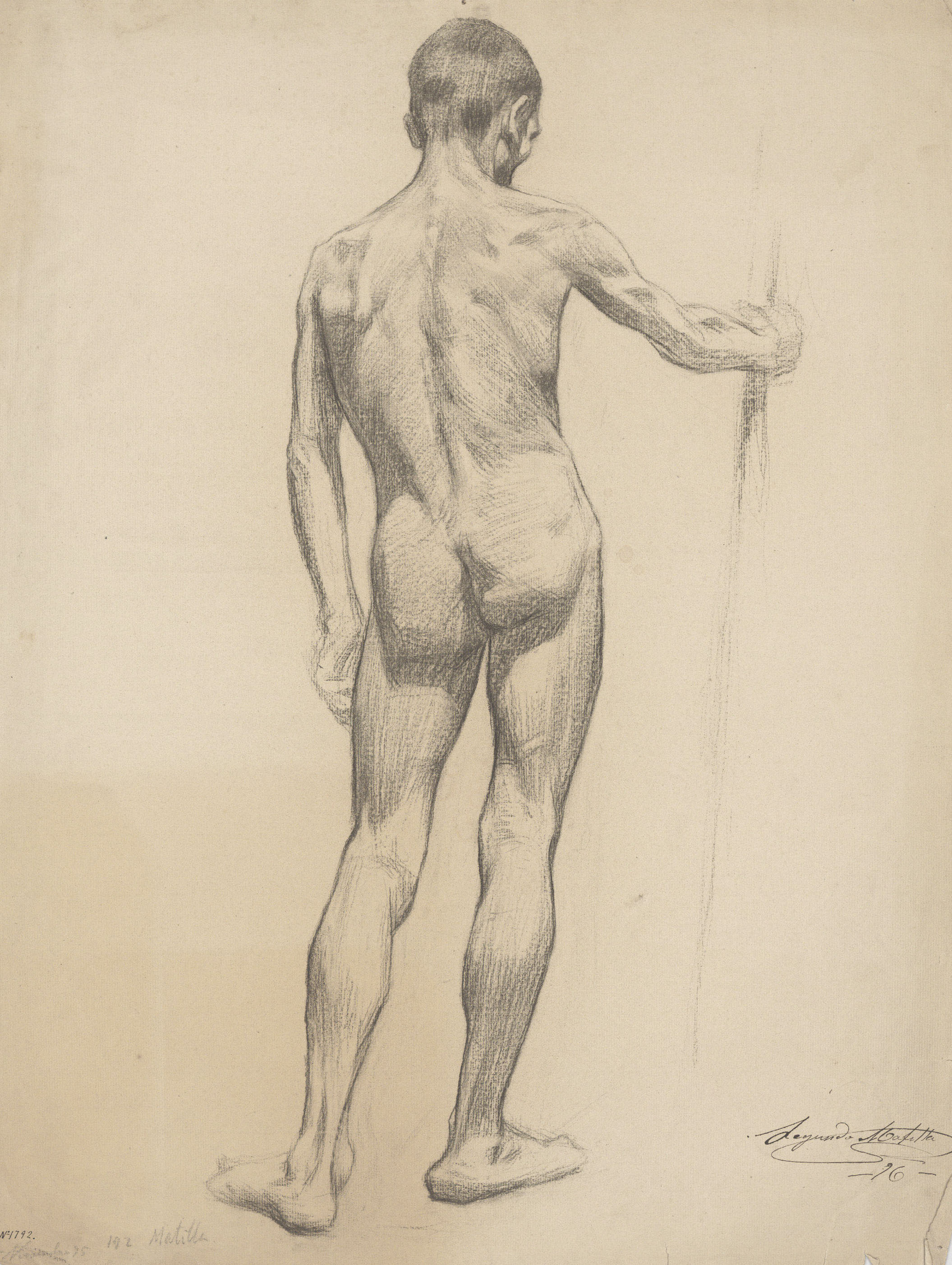 image for: Segundo Matilla - Nu masculí - Novembre de 1896