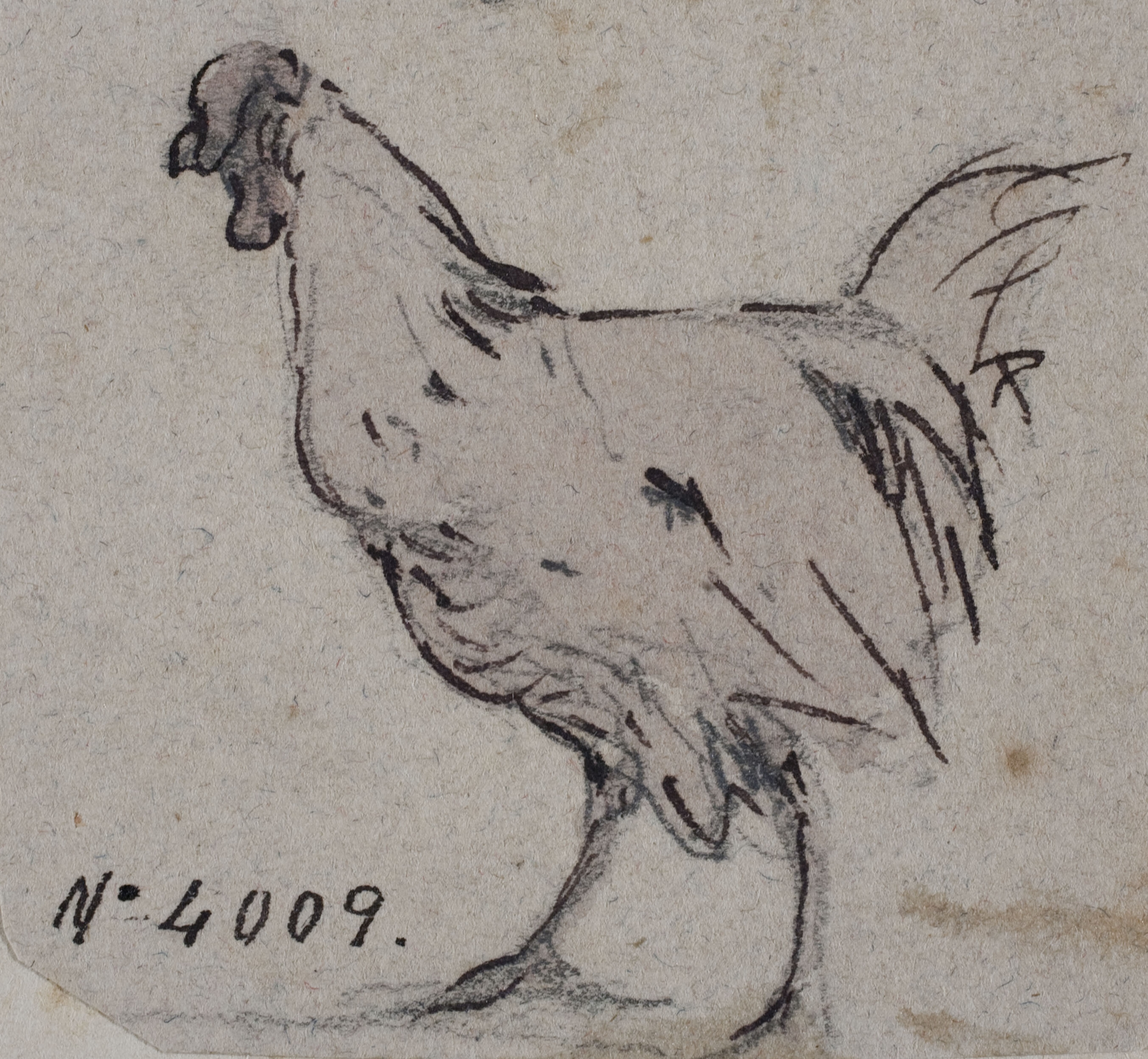 image for: Modest Urgell - Gallina - Cap a 1864