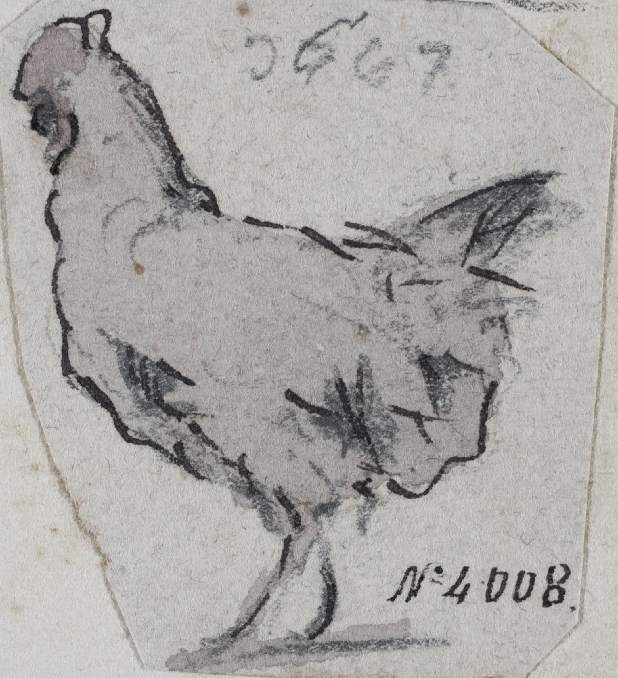 image for: Modest Urgell - Gallina - Cap a 1864