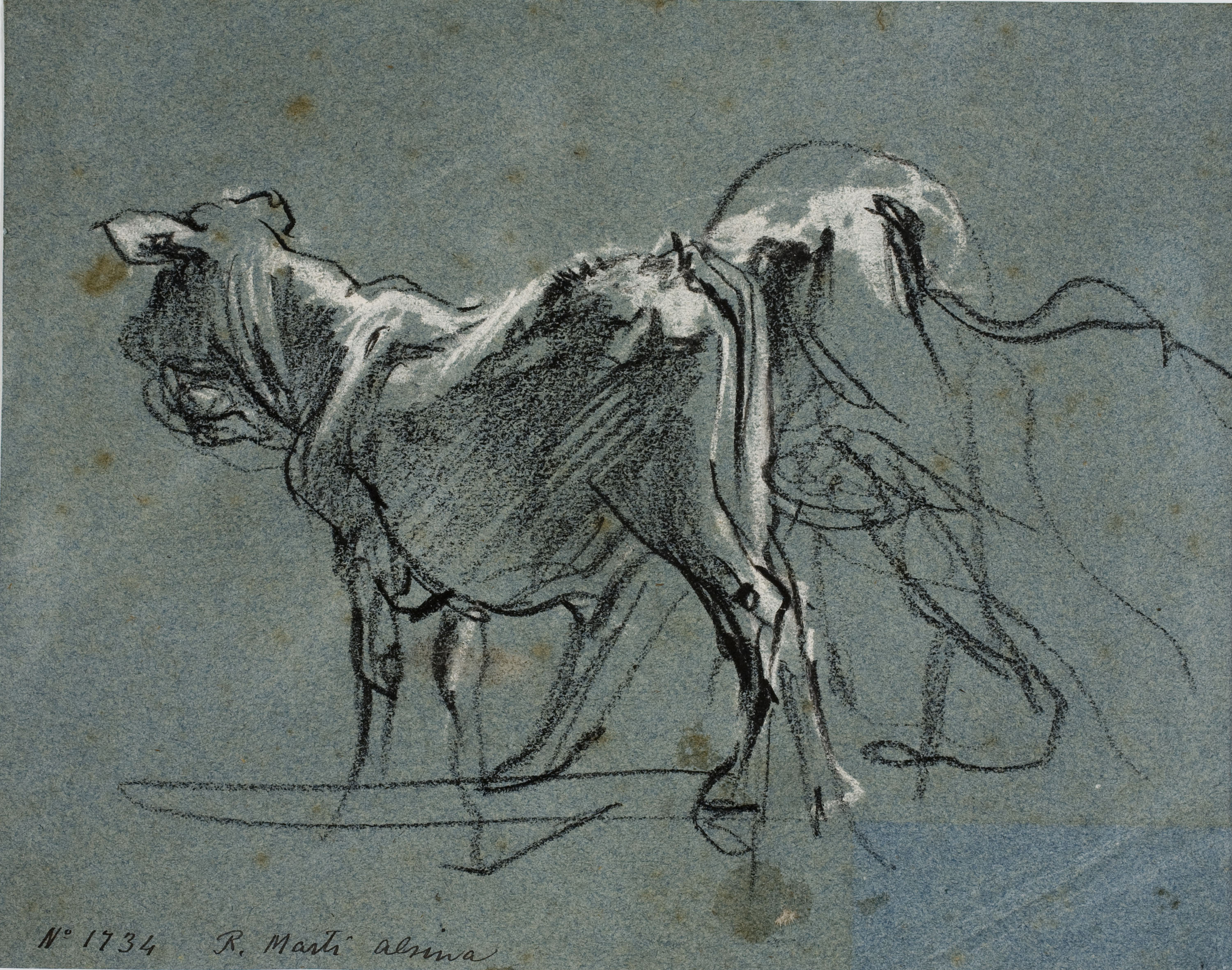 image for: Ramon Martí i Alsina - Croquis d&#039;uns bous - Cap a 1860-1870