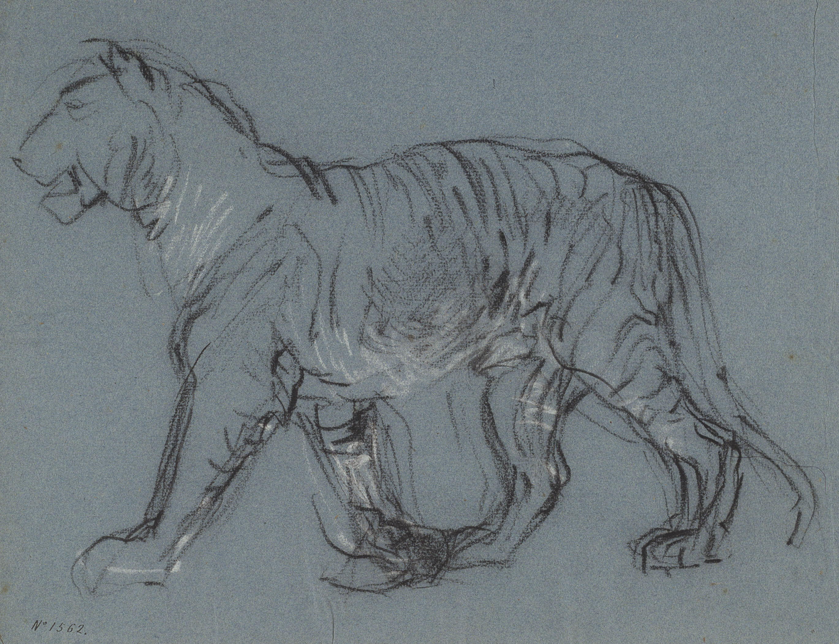 image for: Ramon Martí i Alsina - Una lleona - Cap a 1870-1880