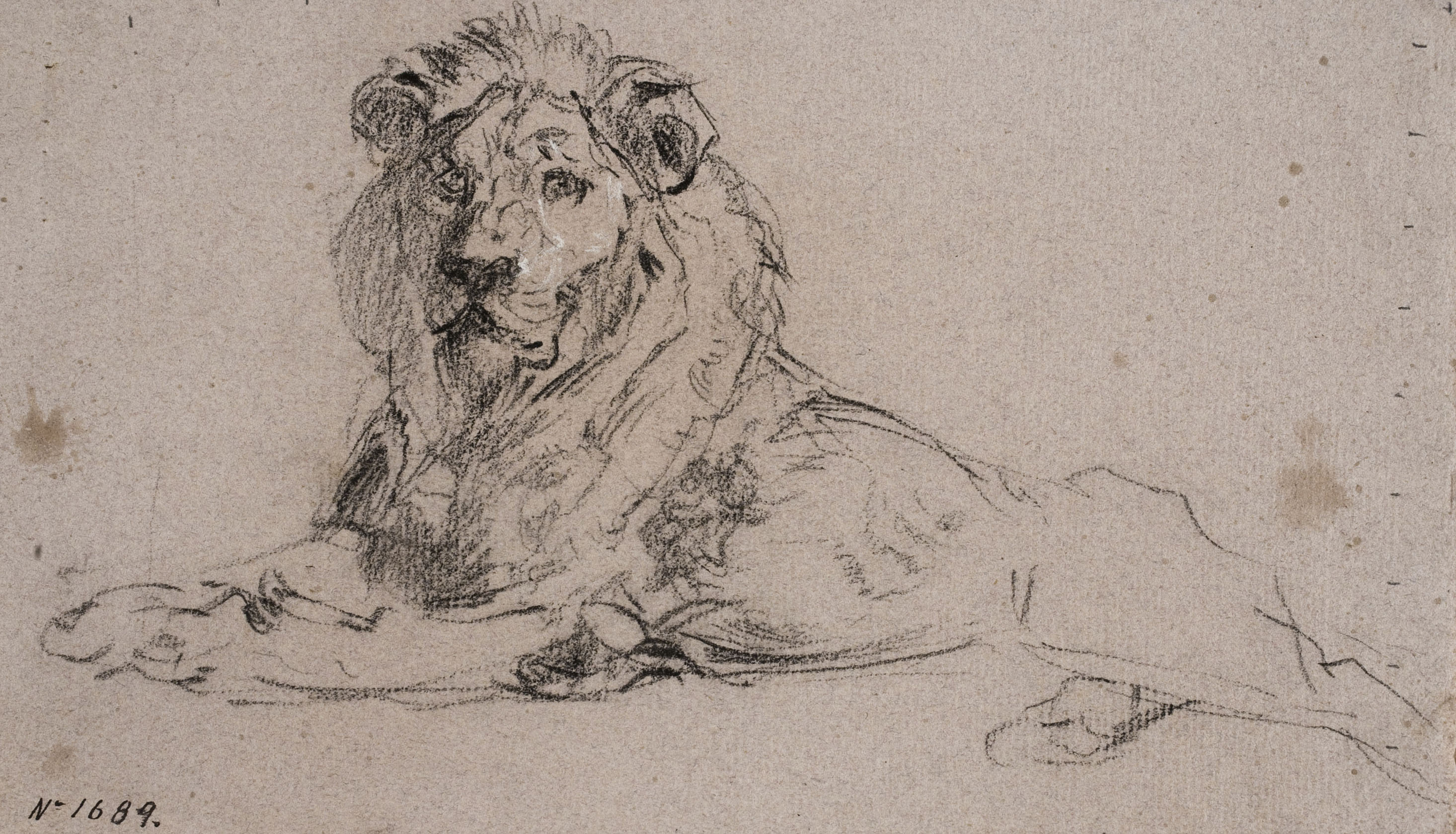 image for: Ramon Martí i Alsina - Un lleó - Cap a 1862