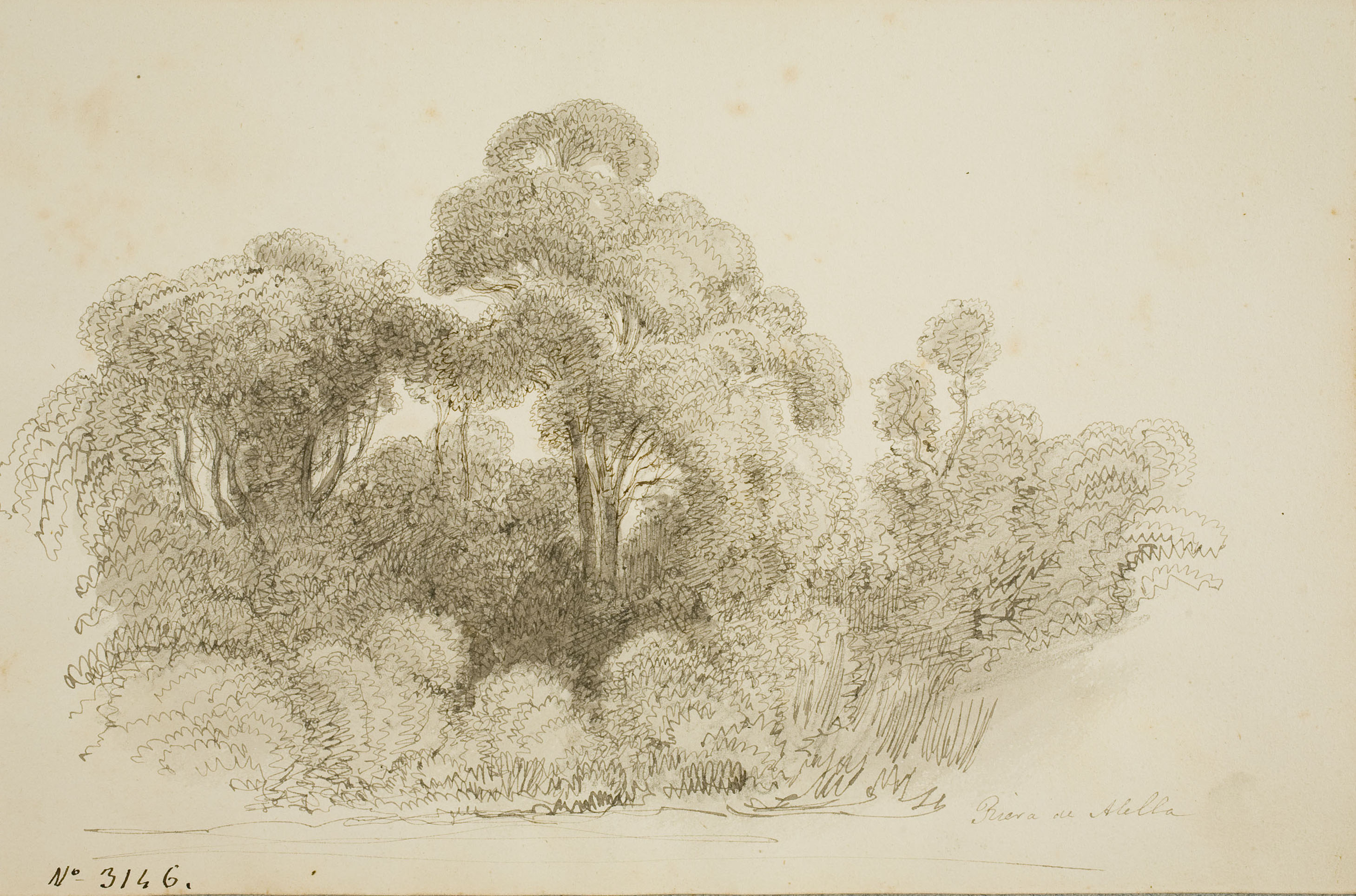 image for: Lluís Rigalt - Riera de Alella - Cap a 1850