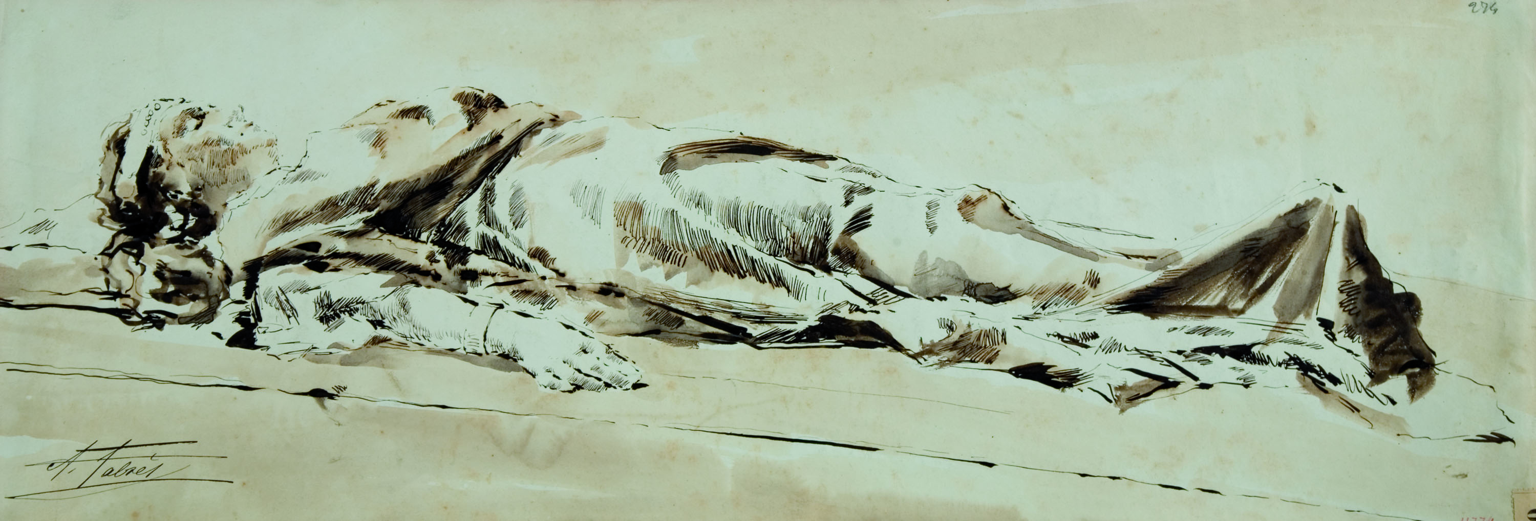 image for: Antoni Fabrés - Cadàver tunisià - 1886