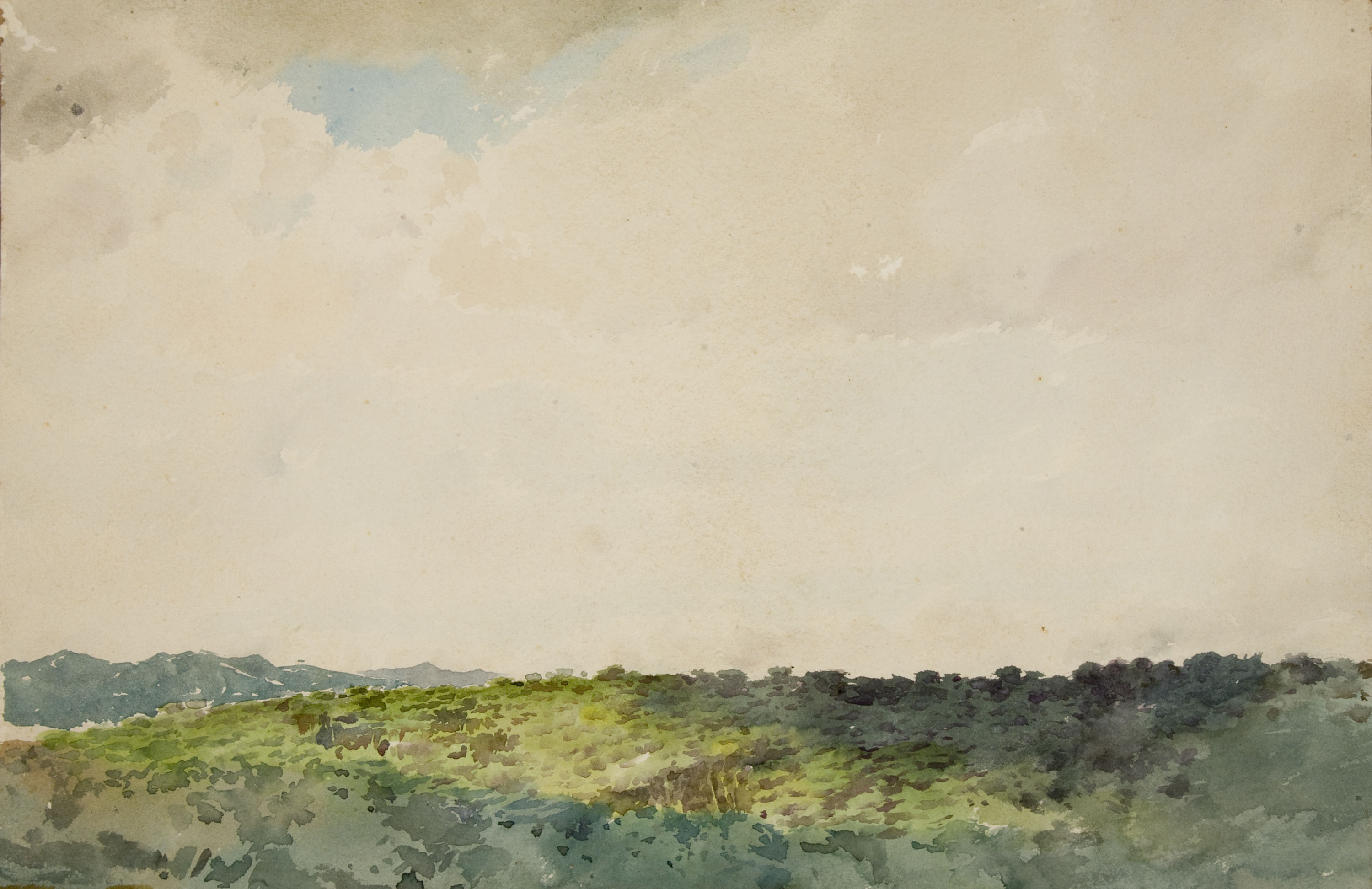 image for: Antoni Fabrés - Paisatge (anvers) / Paisatge (revers) - Cap a 1896 [1]