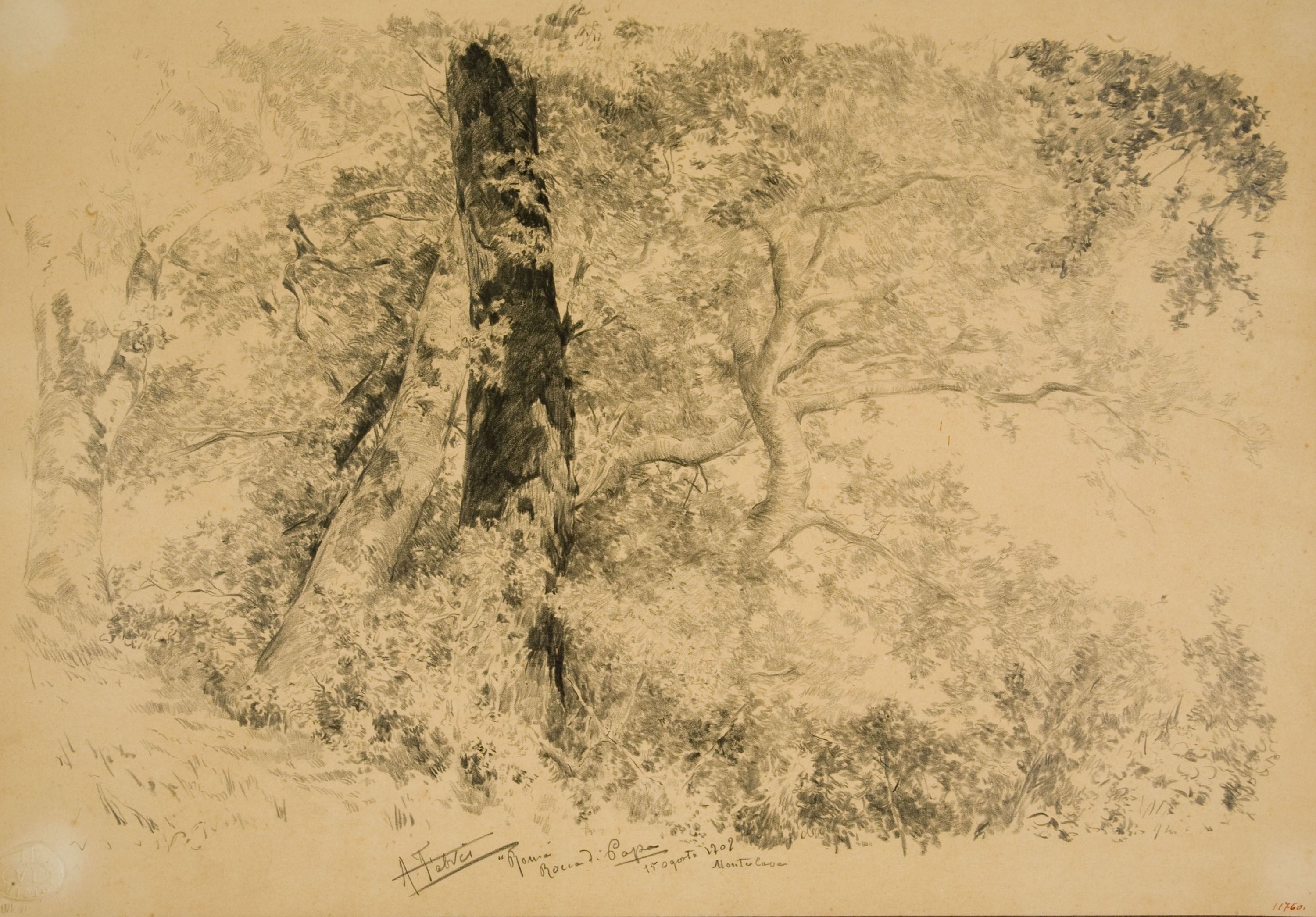 image for: Antoni Fabrés - Rocca di Papa - 1909