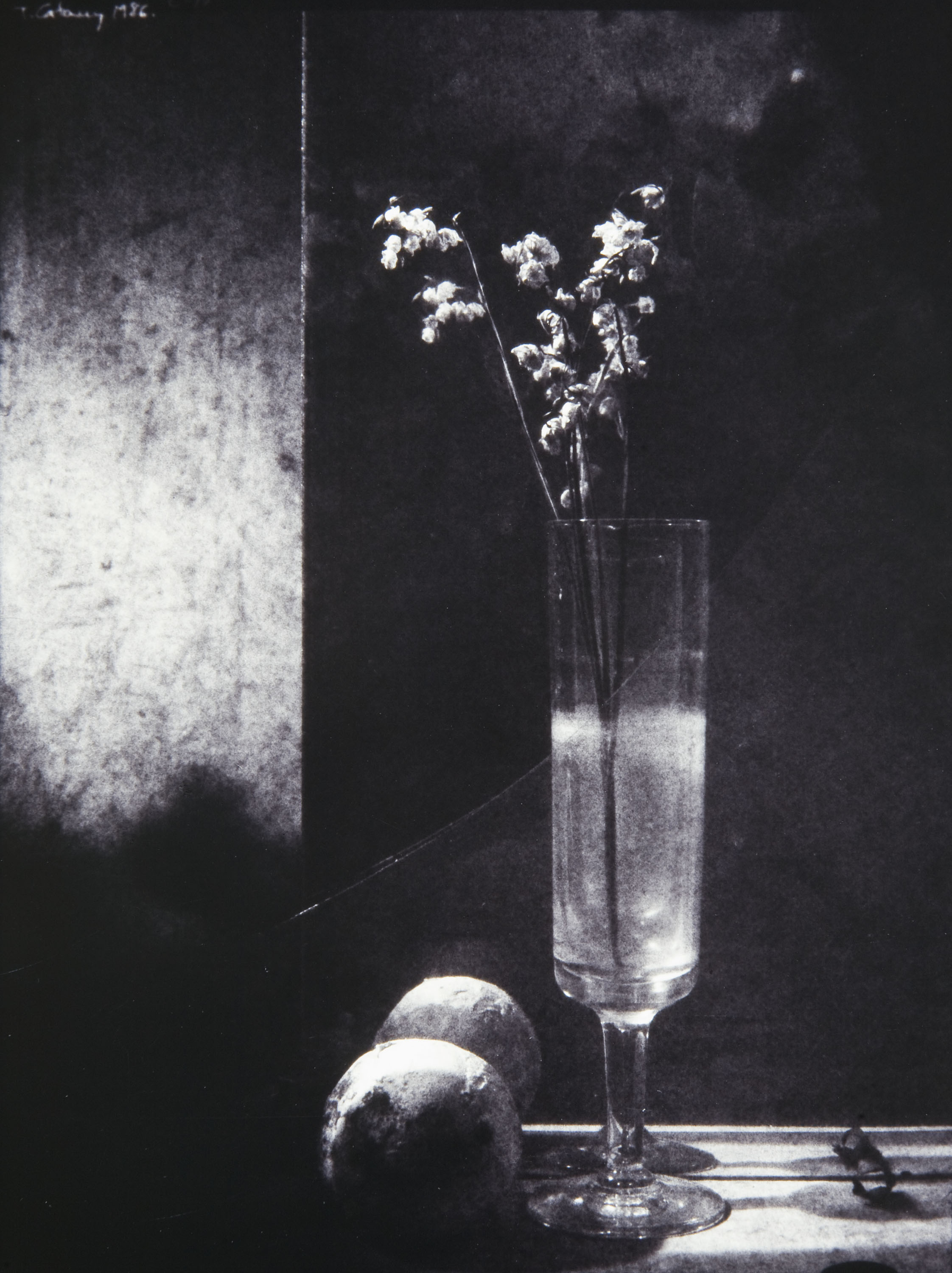 image for: Toni Catany - Homenatge a Sudek - 1986