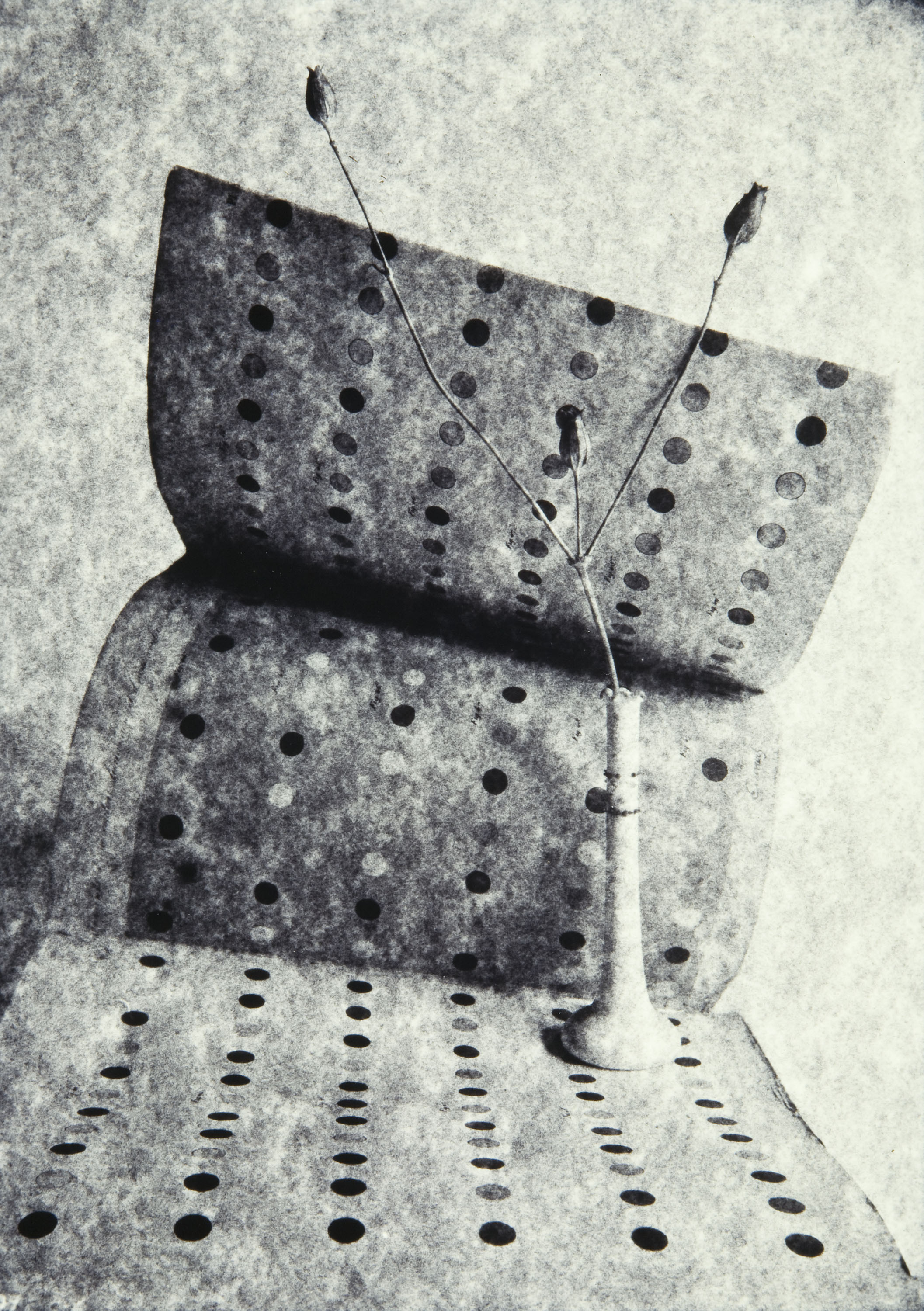 image for: Toni Catany - Homenatge a Chevreuil - 1979 (tiratge 1995)