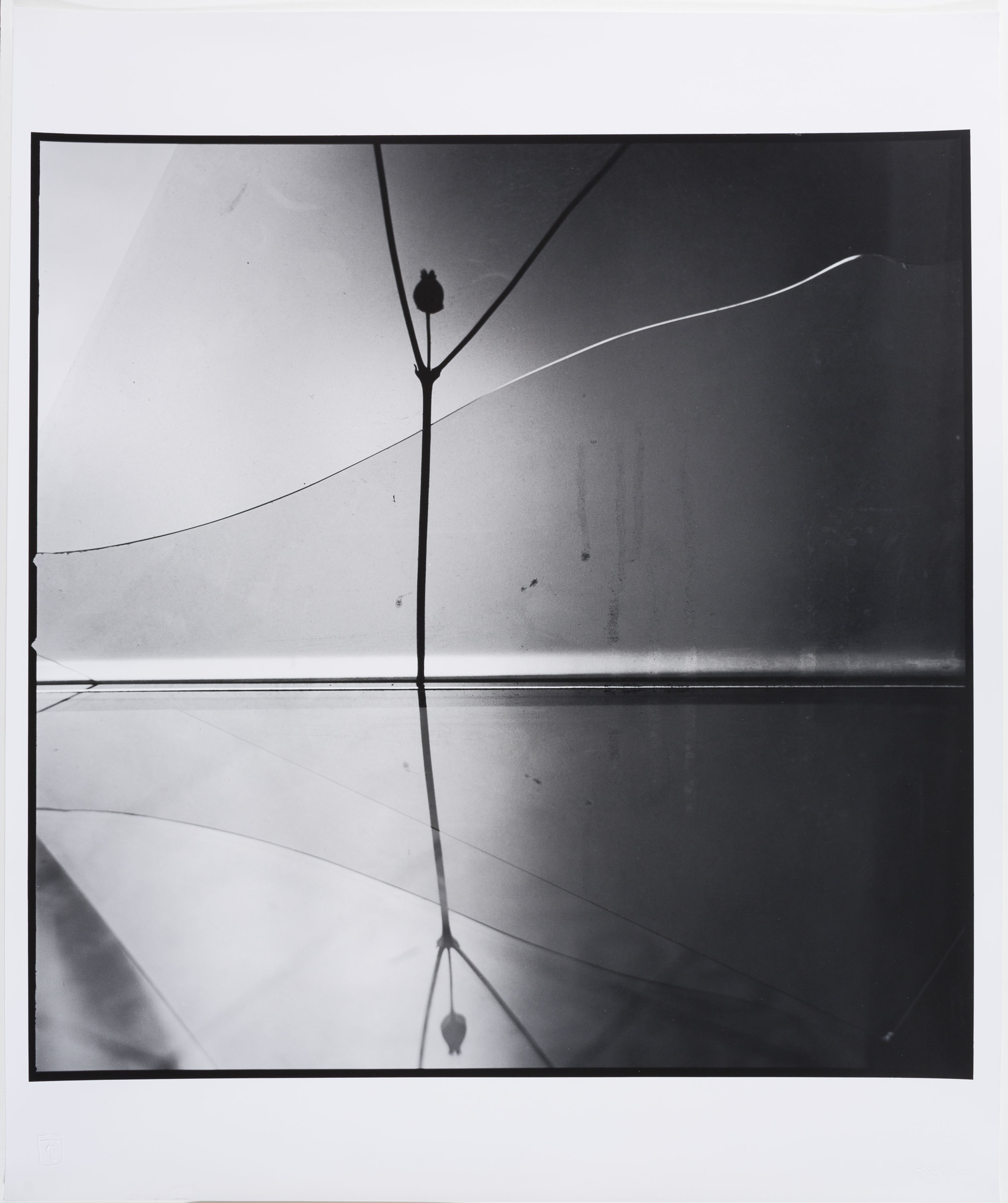 image for: Toni Catany - Natura morta - 1979 (tiratge 2000)
