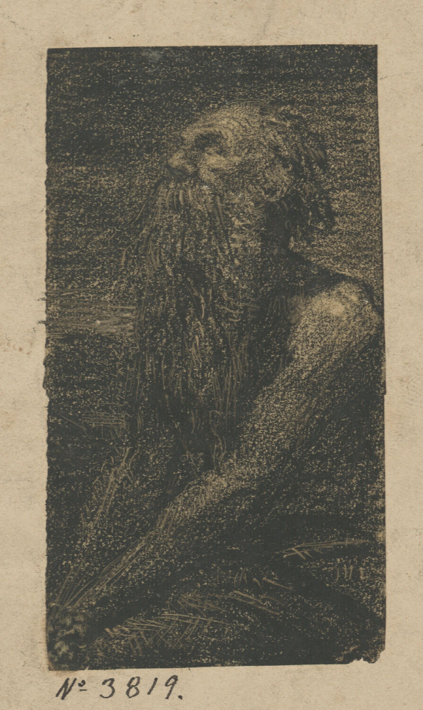 image for: Francesc Torras - Sant Jeroni - Segona meitat del segle XIX