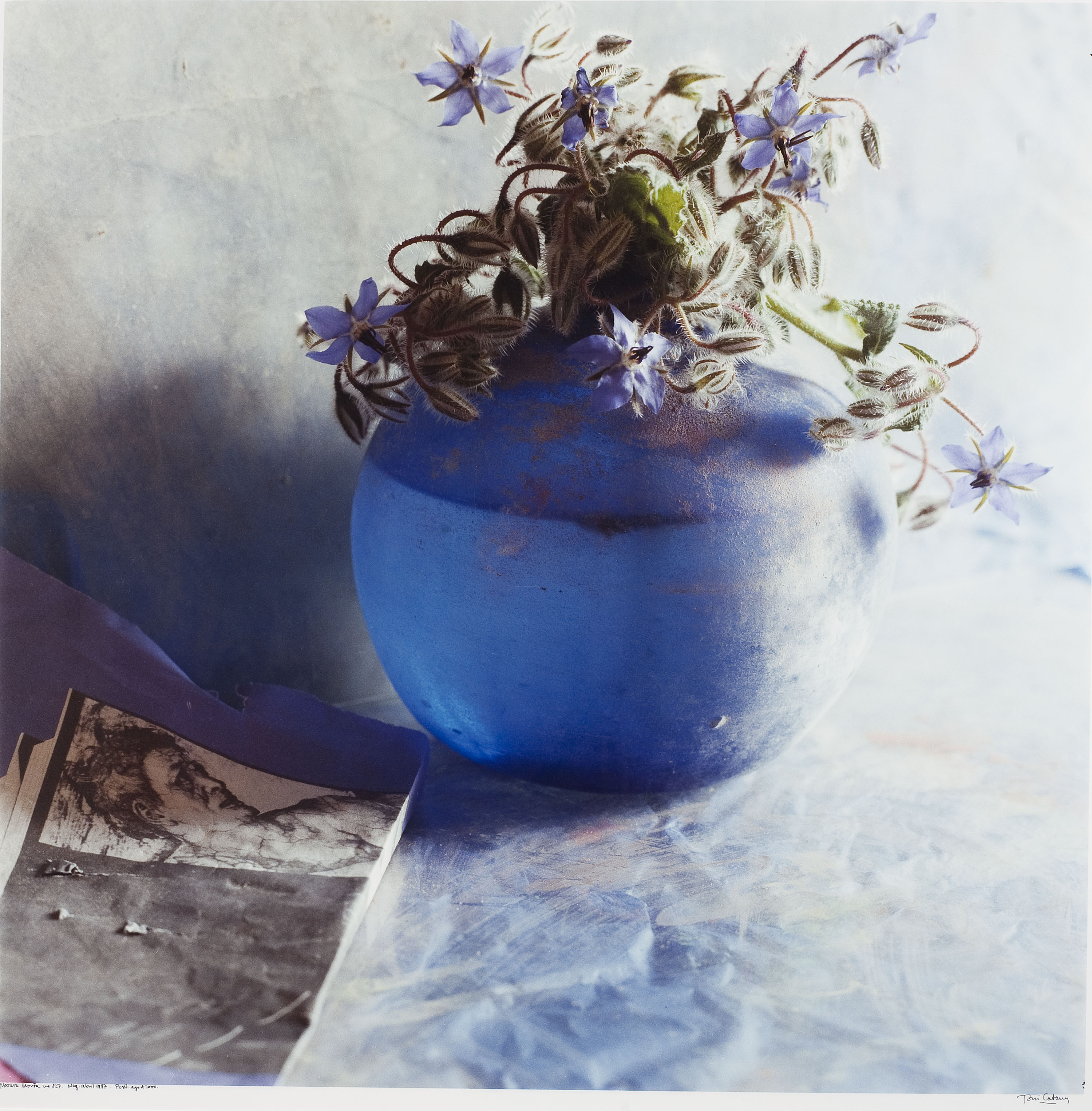 image for: Toni Catany - Natura morta núm. 127 - 1987