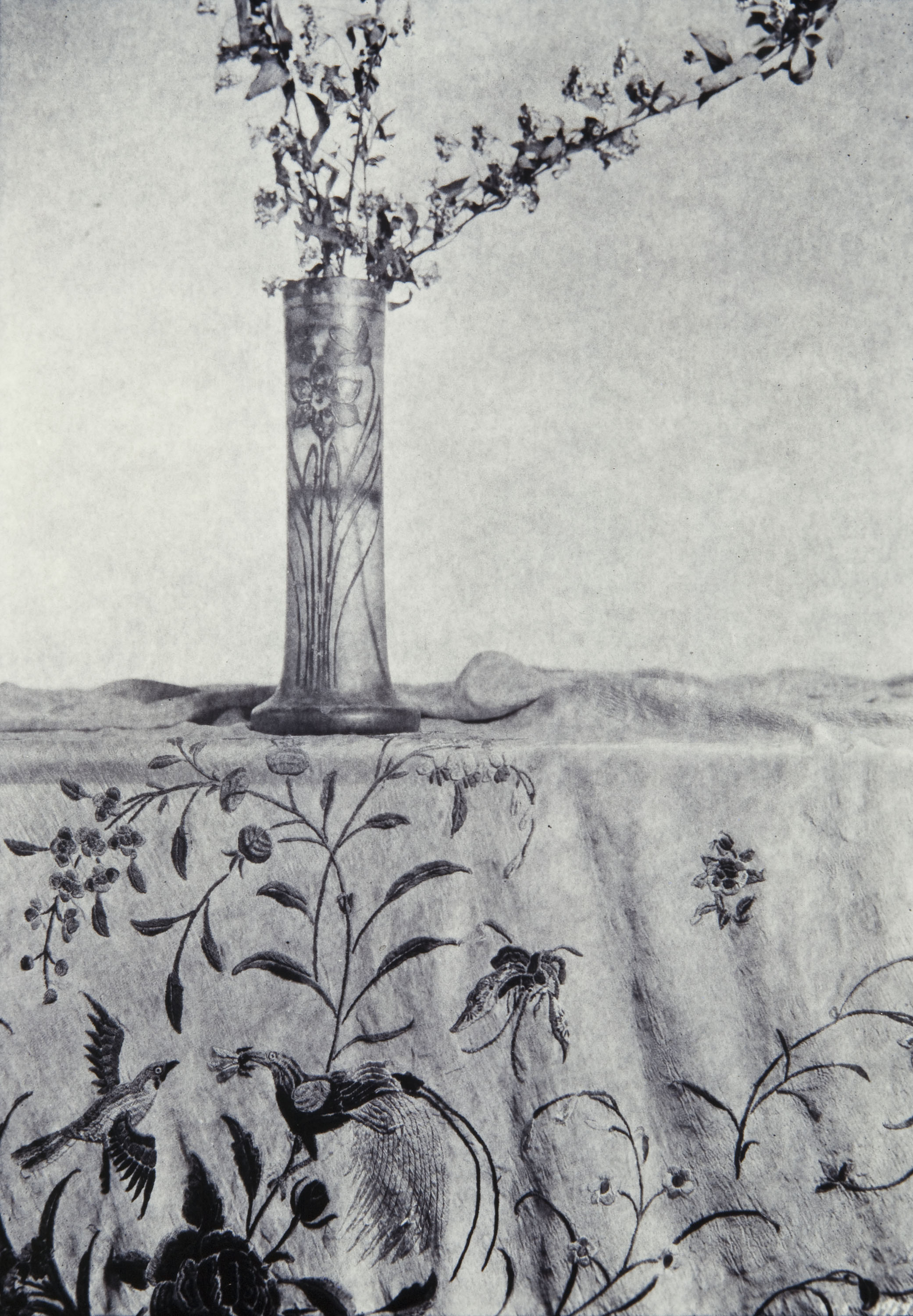 image for: Toni Catany - El mantó - 1979 (tiratge 1995)