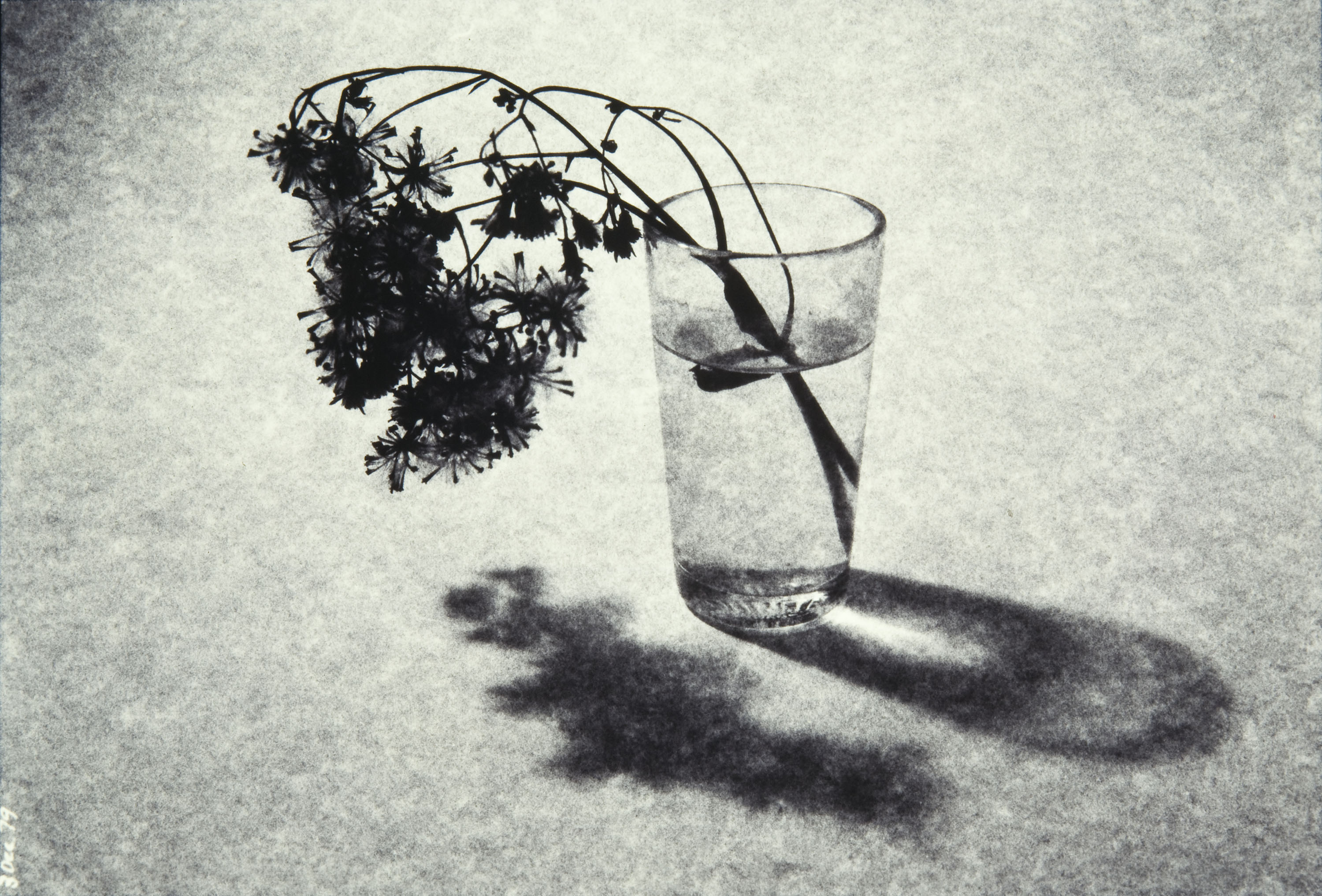 image for: Toni Catany - El tassó - 1979 (tiratge 2005)