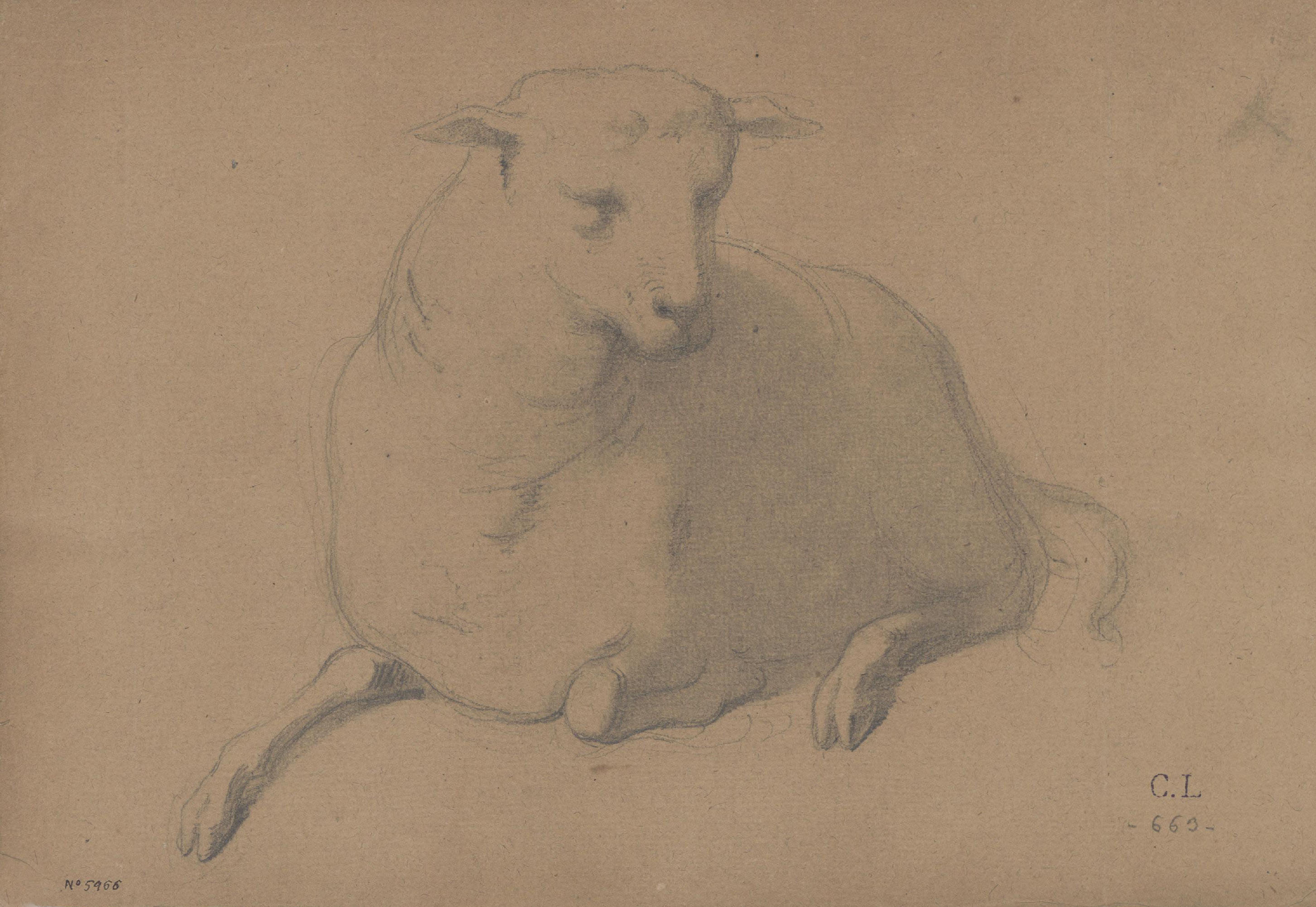 image for: Claudi Lorenzale - Ovella - Cap a 1850-1870