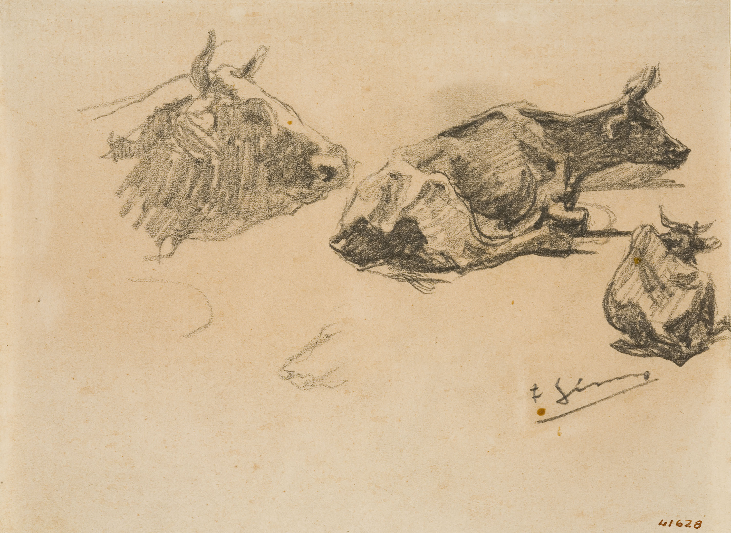 image for: Francesc Gimeno - Estudi de vaques - Cap a 1878-1880
