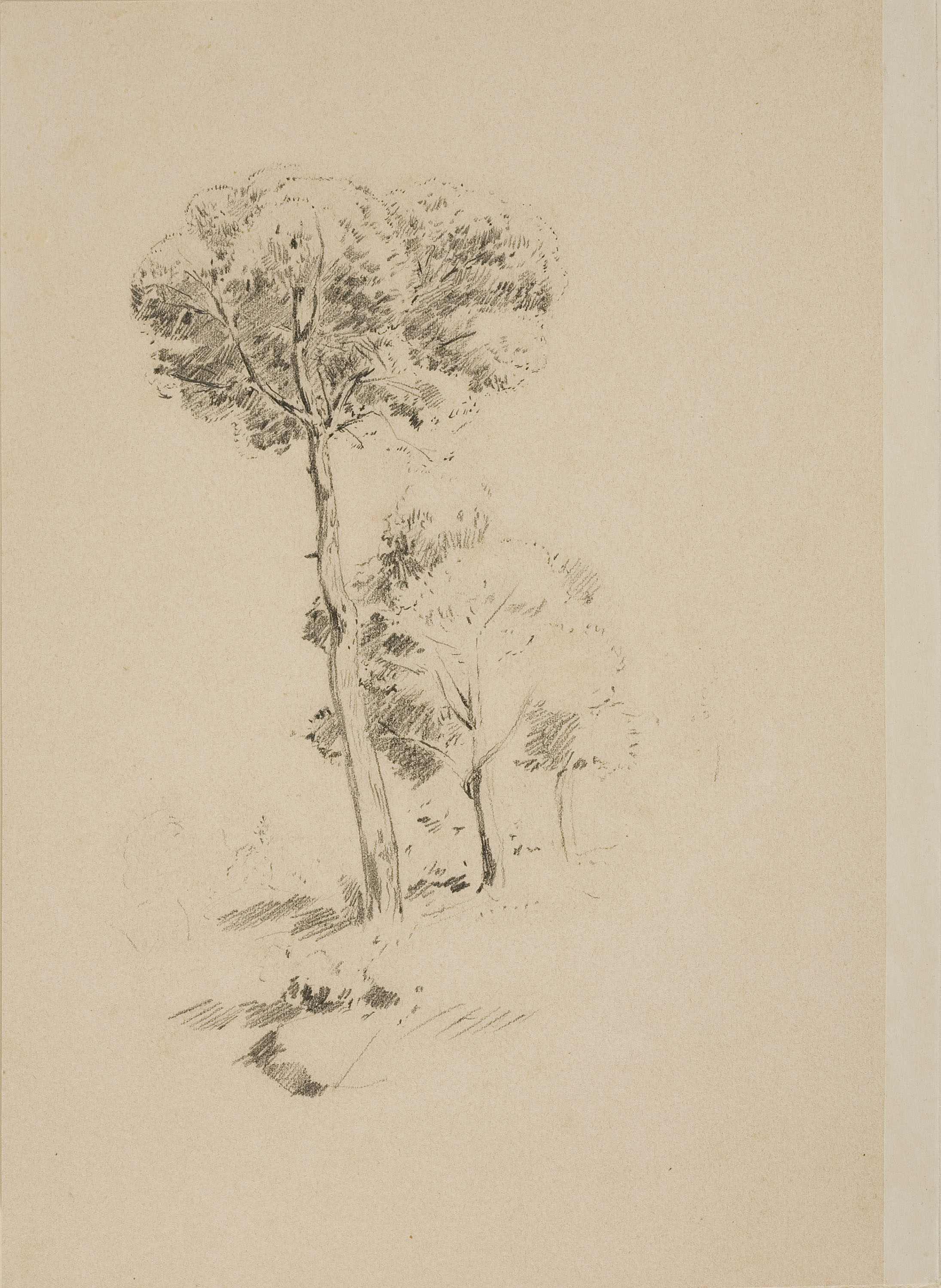 image for: Francesc Gimeno - Un germanet d&#039;en Gimeno (anvers) / Estudi d&#039;arbres (revers) - Cap a 1878 [1]