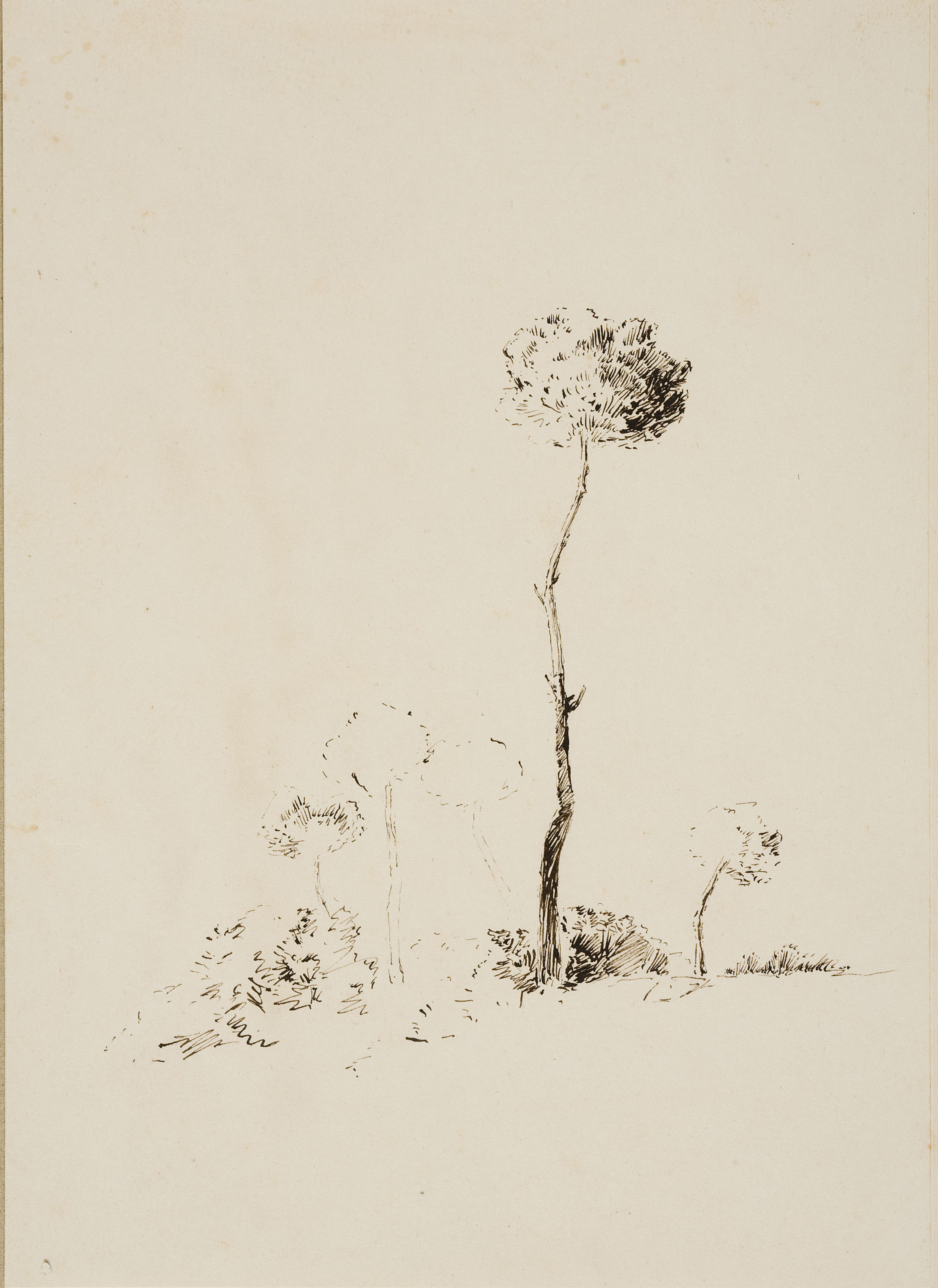 image for: Francesc Gimeno - Vista parcial del Castell-Tortosa (anvers) / Estudi d&#039;arbres (revers) - Cap a 1878 [1]