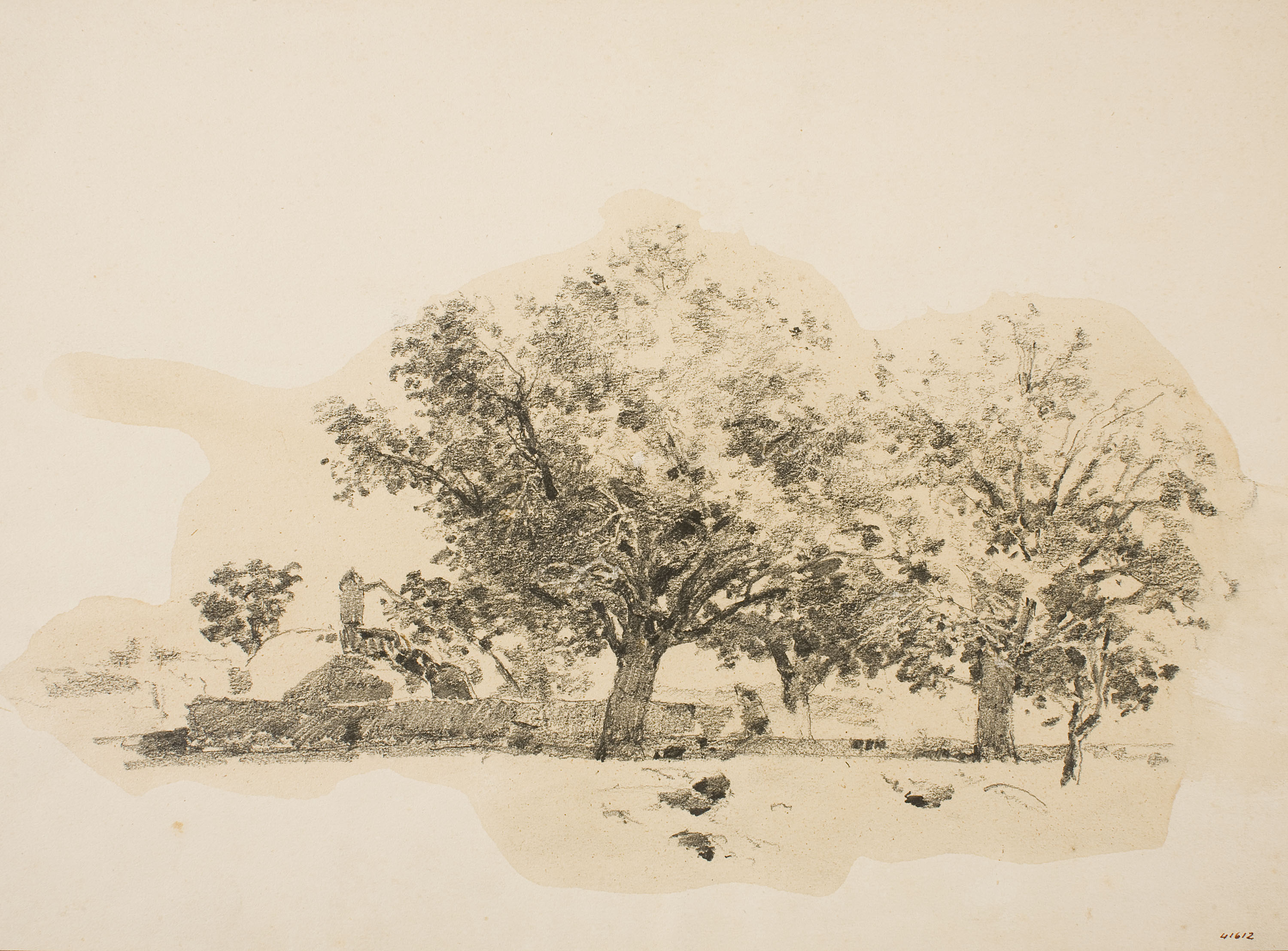 image for: Francesc Gimeno - Estudi d&#039;arbres - Cap a 1878