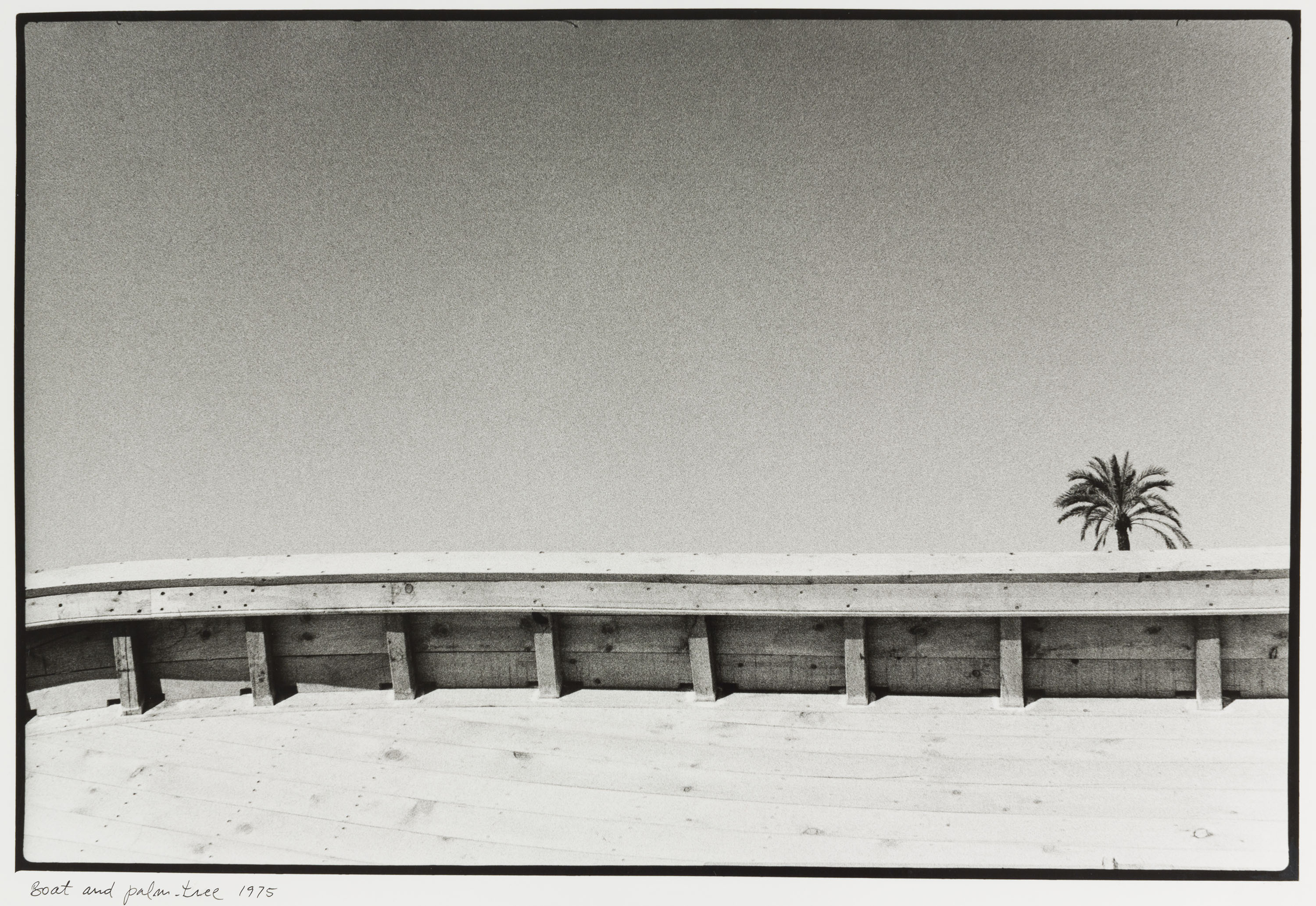 image for: Josep Rigol - Boat and palm-tree (Sitges) - 1975 (tiratge 1981)