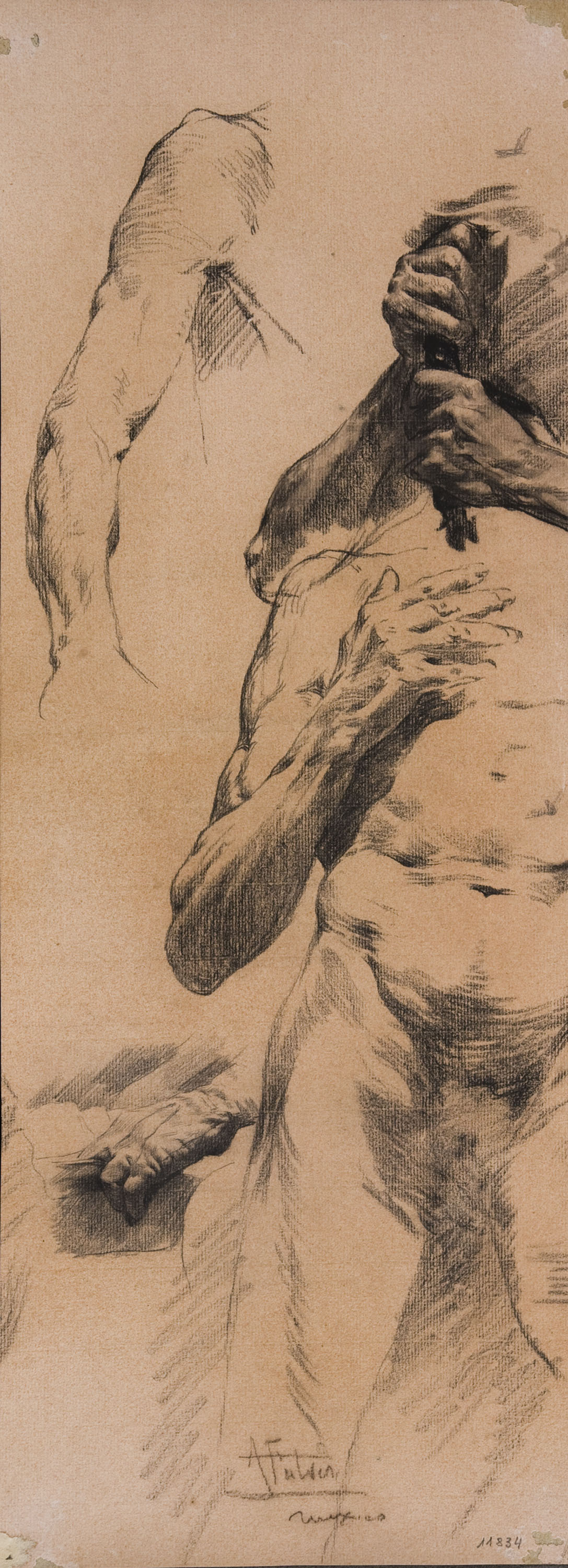 image for: Antoni Fabrés - Estudi de figura masculina - Cap a 1902-1906