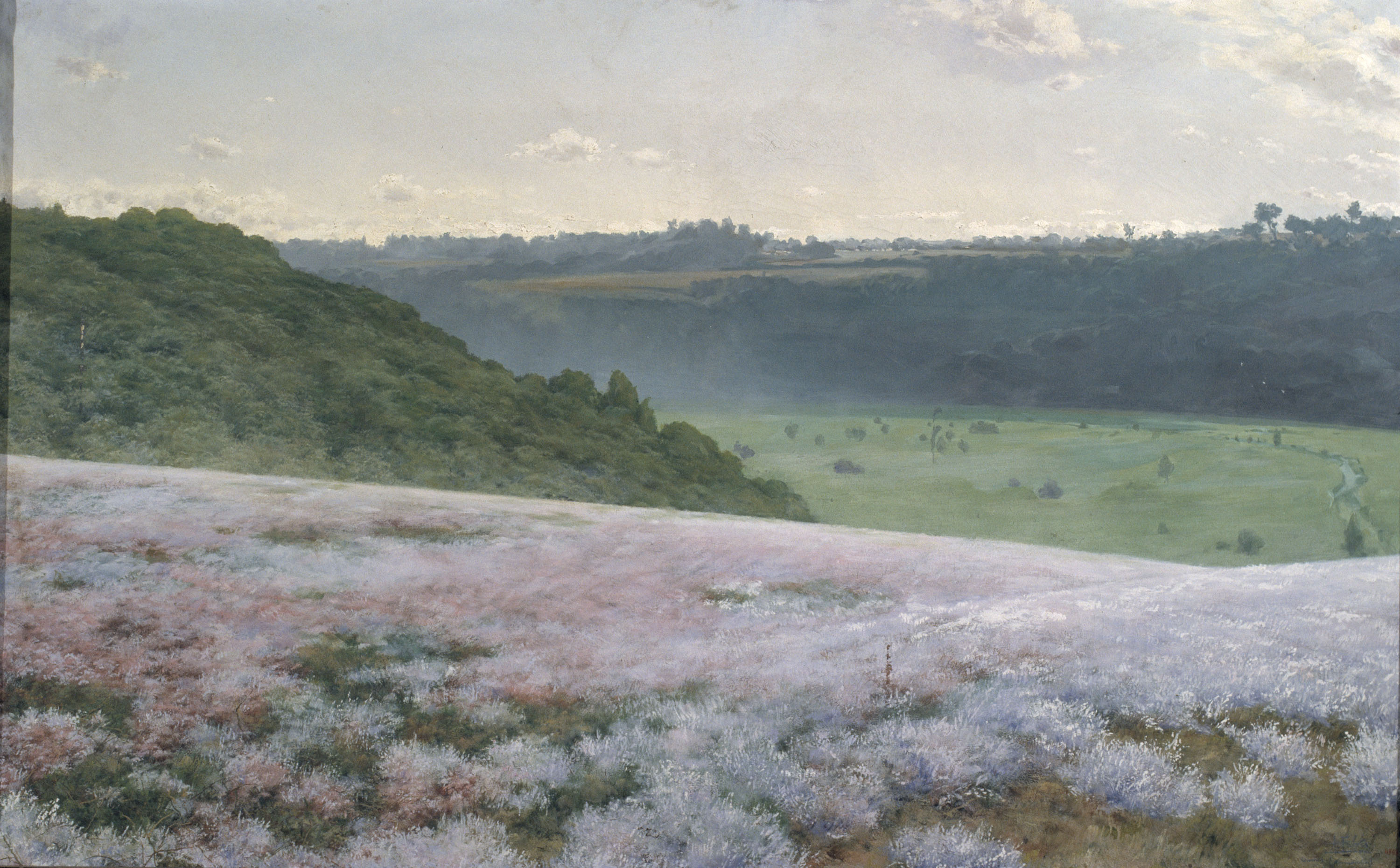 image for: Antoni Fabrés - Camp de brugueres - Cap a 1898