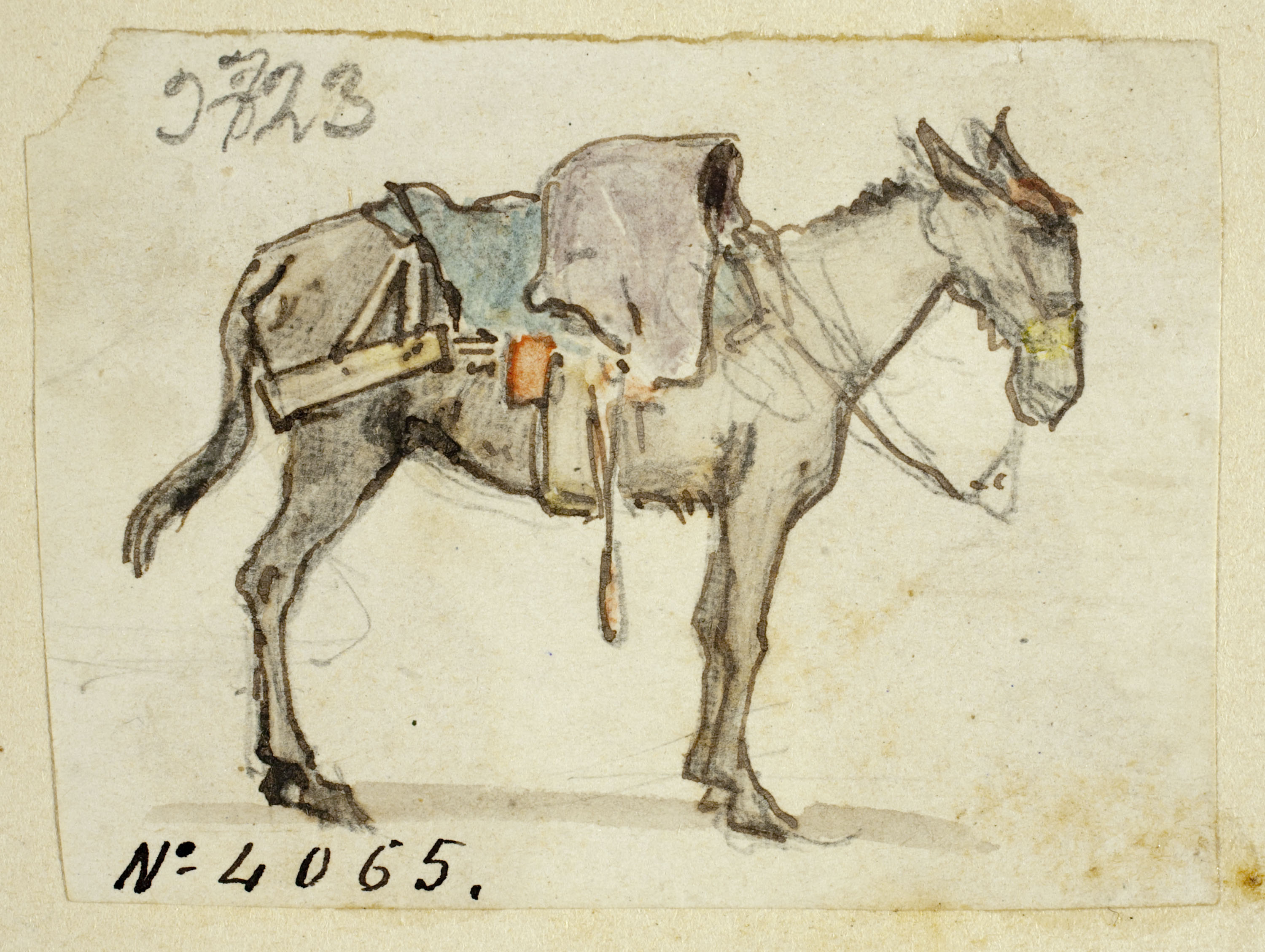 image for: Modest Urgell - Ruc - Cap a 1864