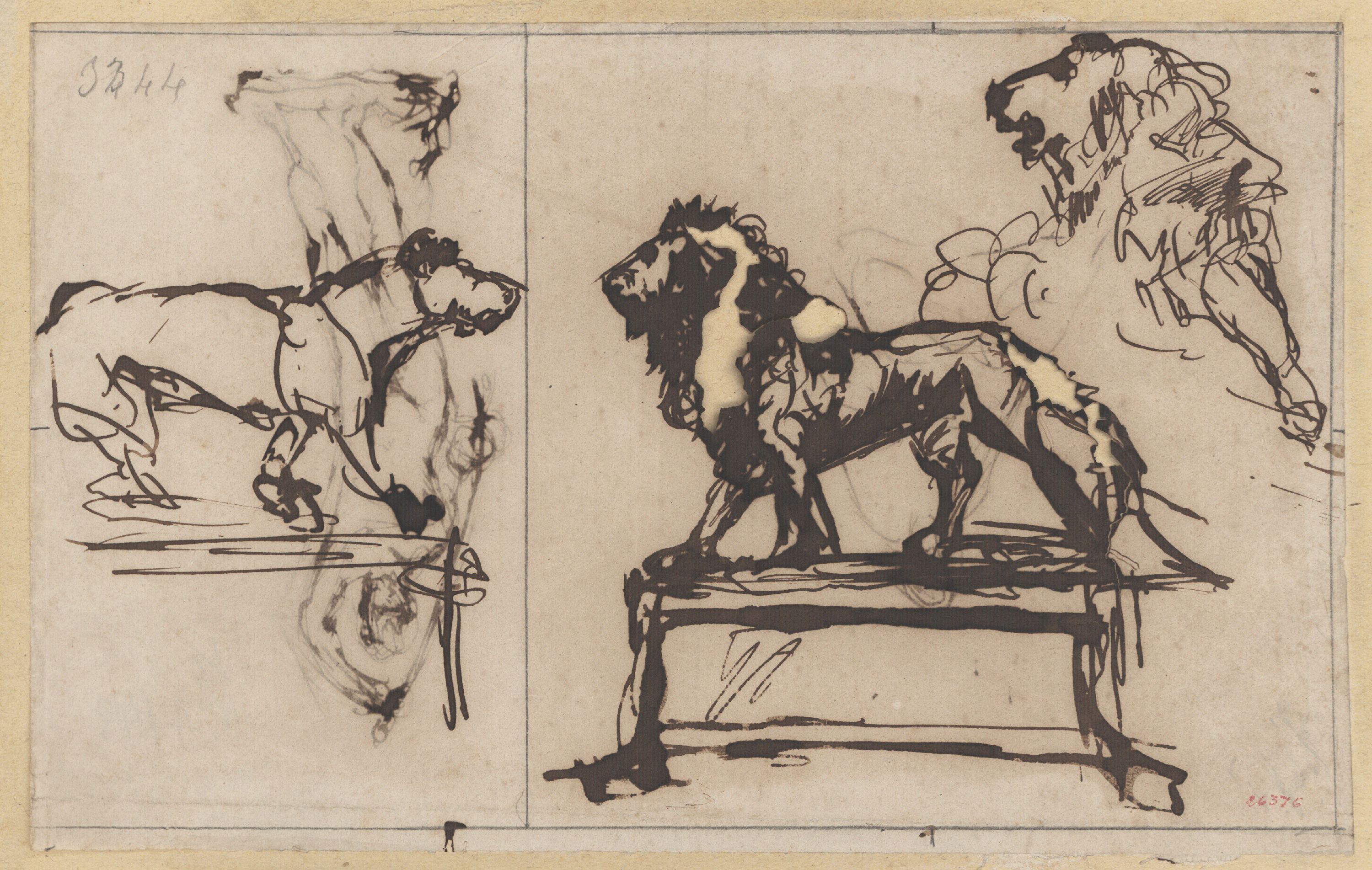 image for: Agapit Vallmitjana Abarca - Croquis de lleons per al monument de Colom a Barcelona - Cap a 1887-1888
