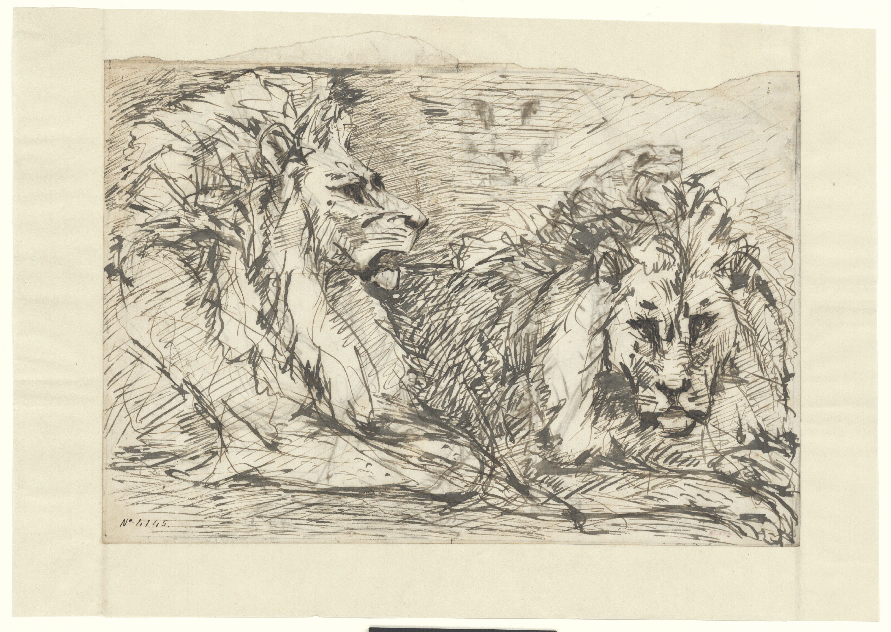 image for: Agapit Vallmitjana Abarca - Estudi de lleons - Cap a 1880-1890