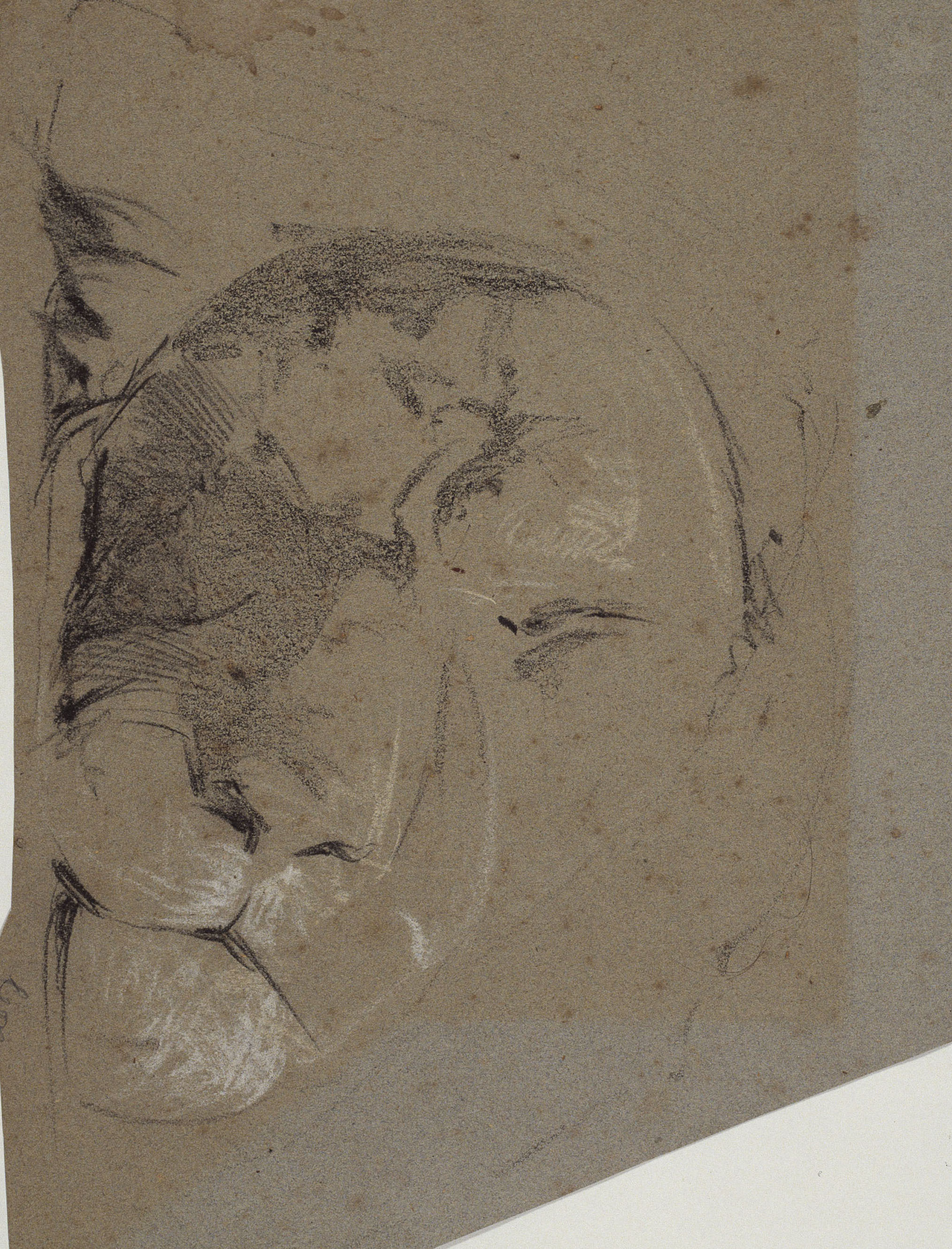 image for: Ramon Martí i Alsina - Estudi d&#039;un cap de lleona - Cap a 1862