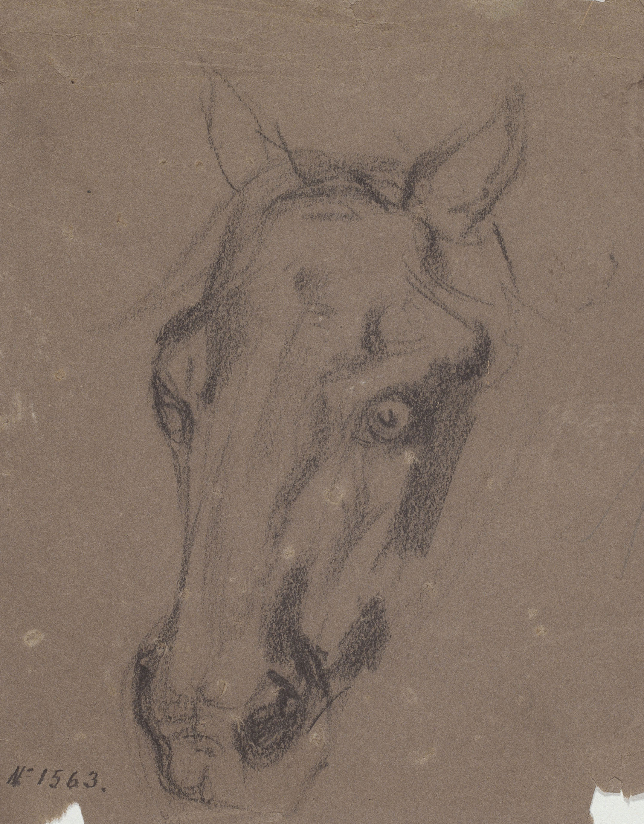 image for: Ramon Martí i Alsina - Cap de cavall - Cap a 1862-1870