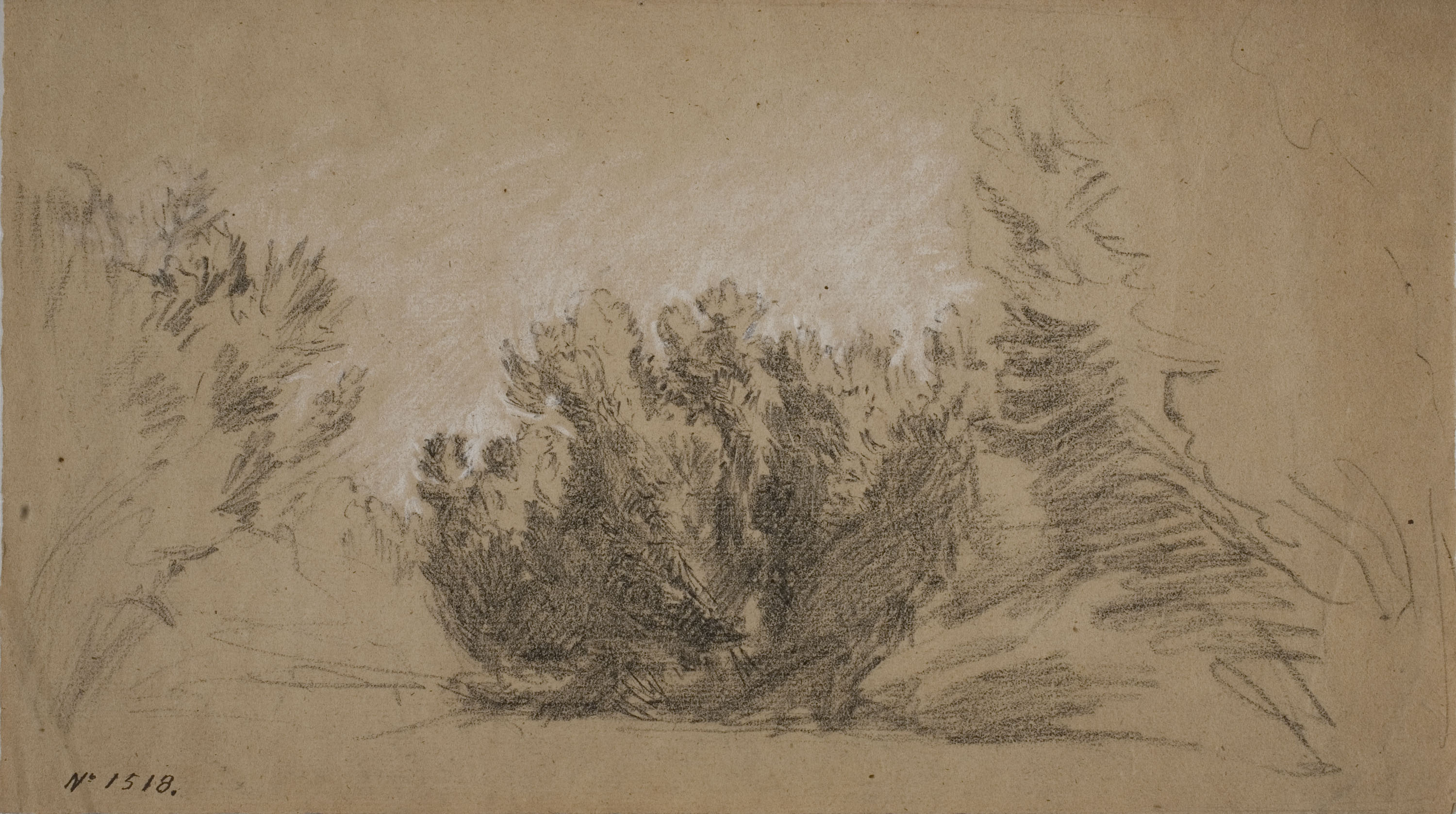 image for: Ramon Martí i Alsina - Estudi d&#039;un matoll - Cap a 1860-1870