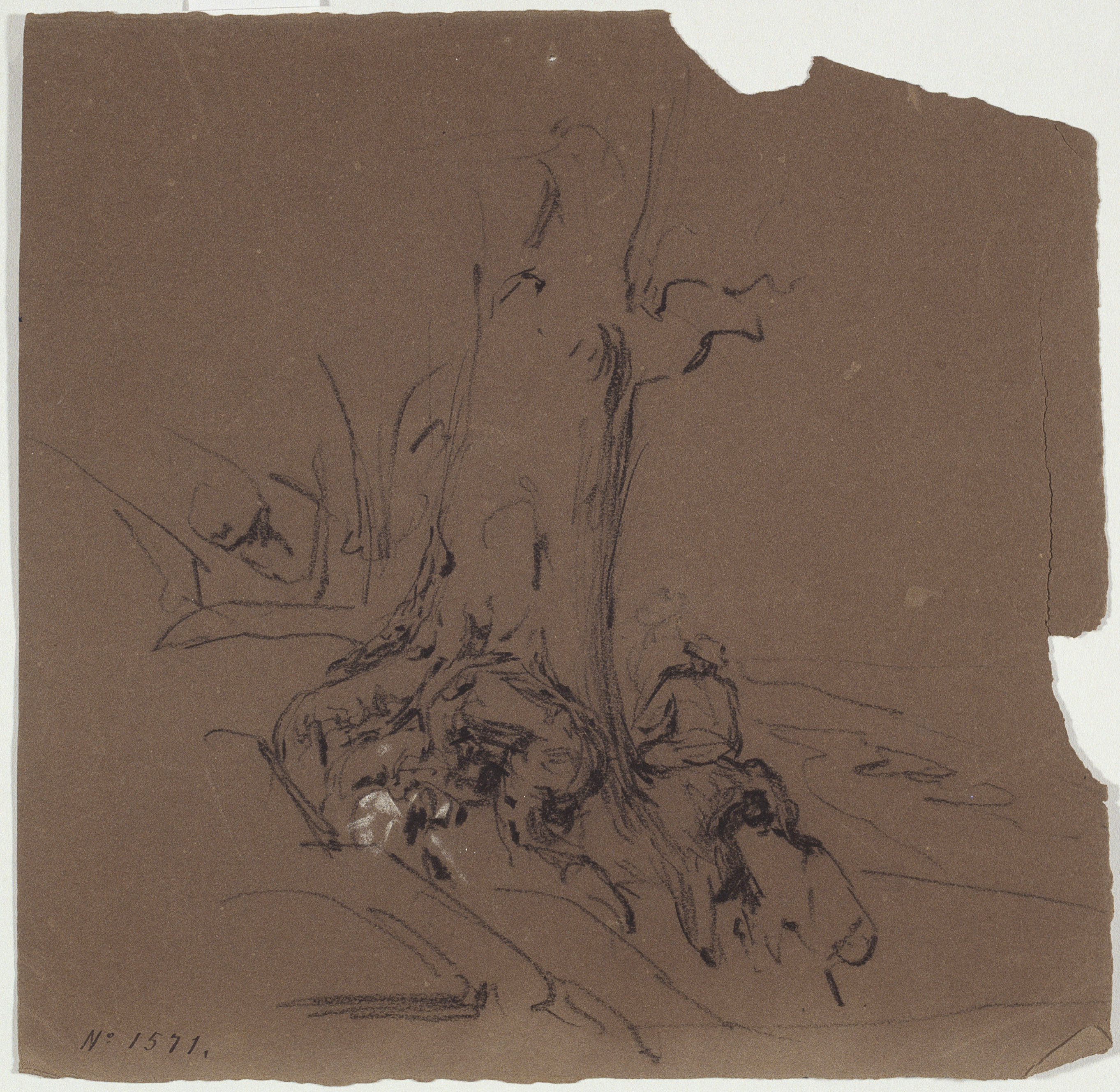 image for: Ramon Martí i Alsina - Estudi d&#039;un tronc - Cap a 1870