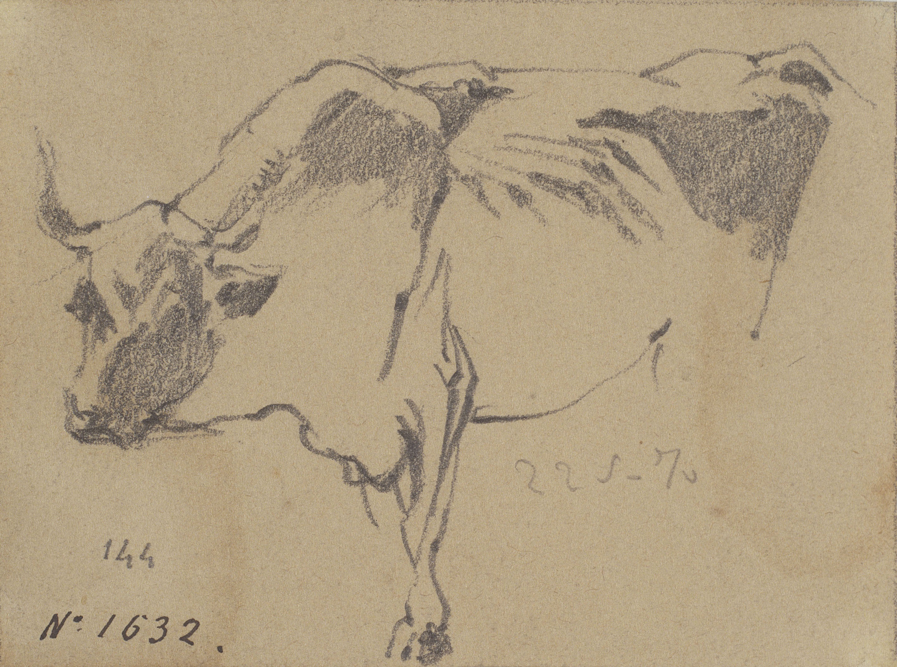 image for: Ramon Martí i Alsina - Apunt d&#039;un bou - 22 de maig de 1870