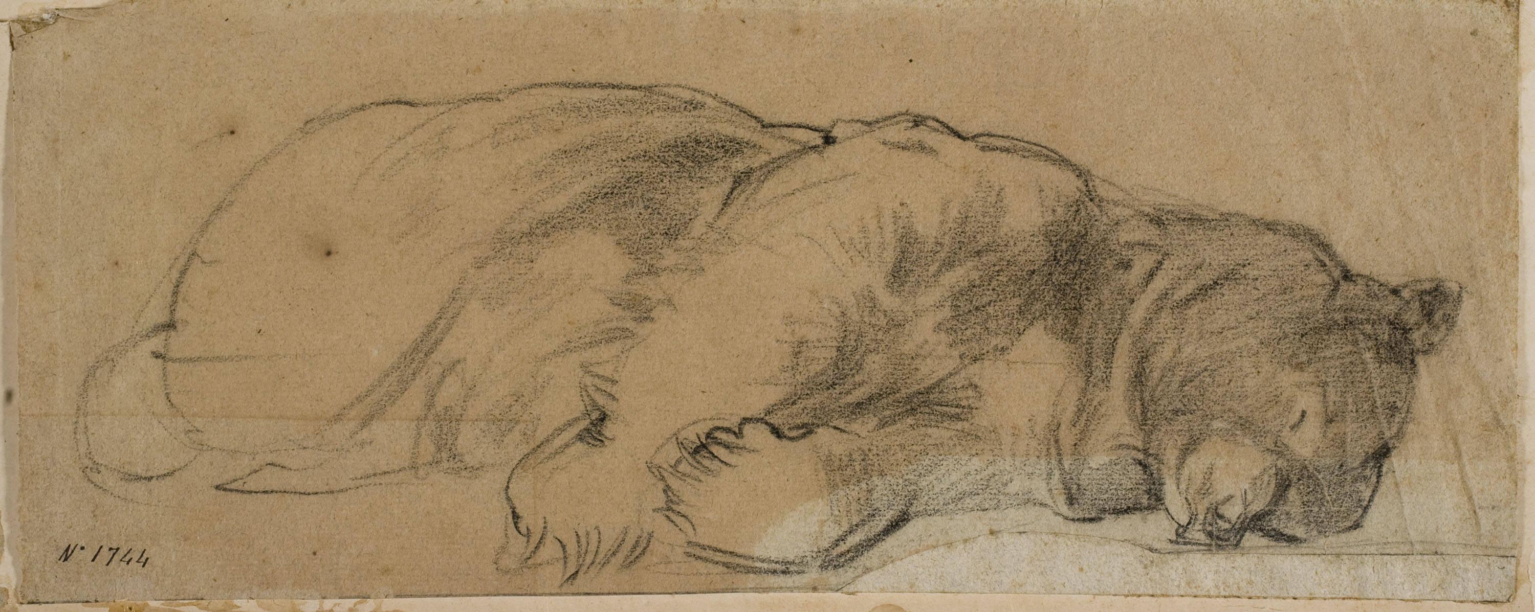 image for: Ramon Martí i Alsina - Un ós dormint - Cap a 1870-1880