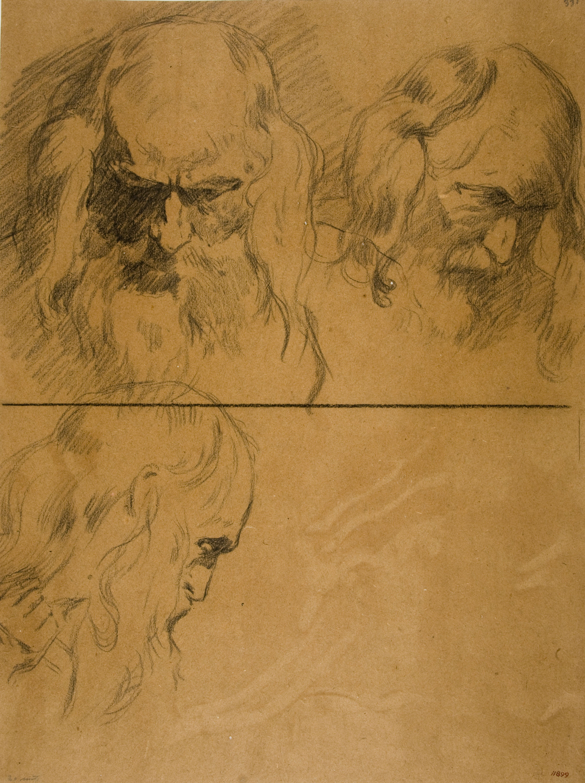 image for: Antoni Fabrés - Estudis de cap masculí - Cap a 1903