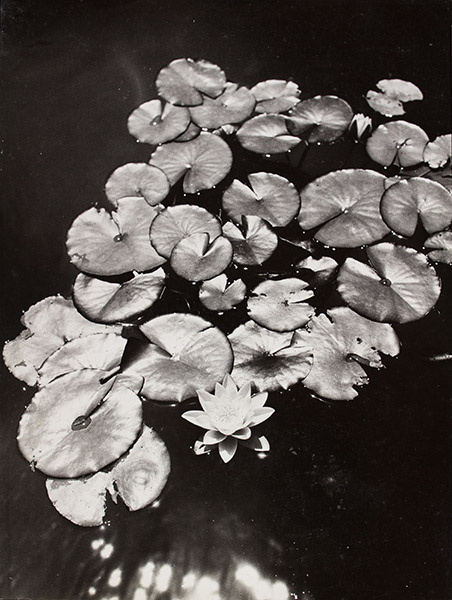 image for: Oriol Maspons - Sense títol - Cap a 1959