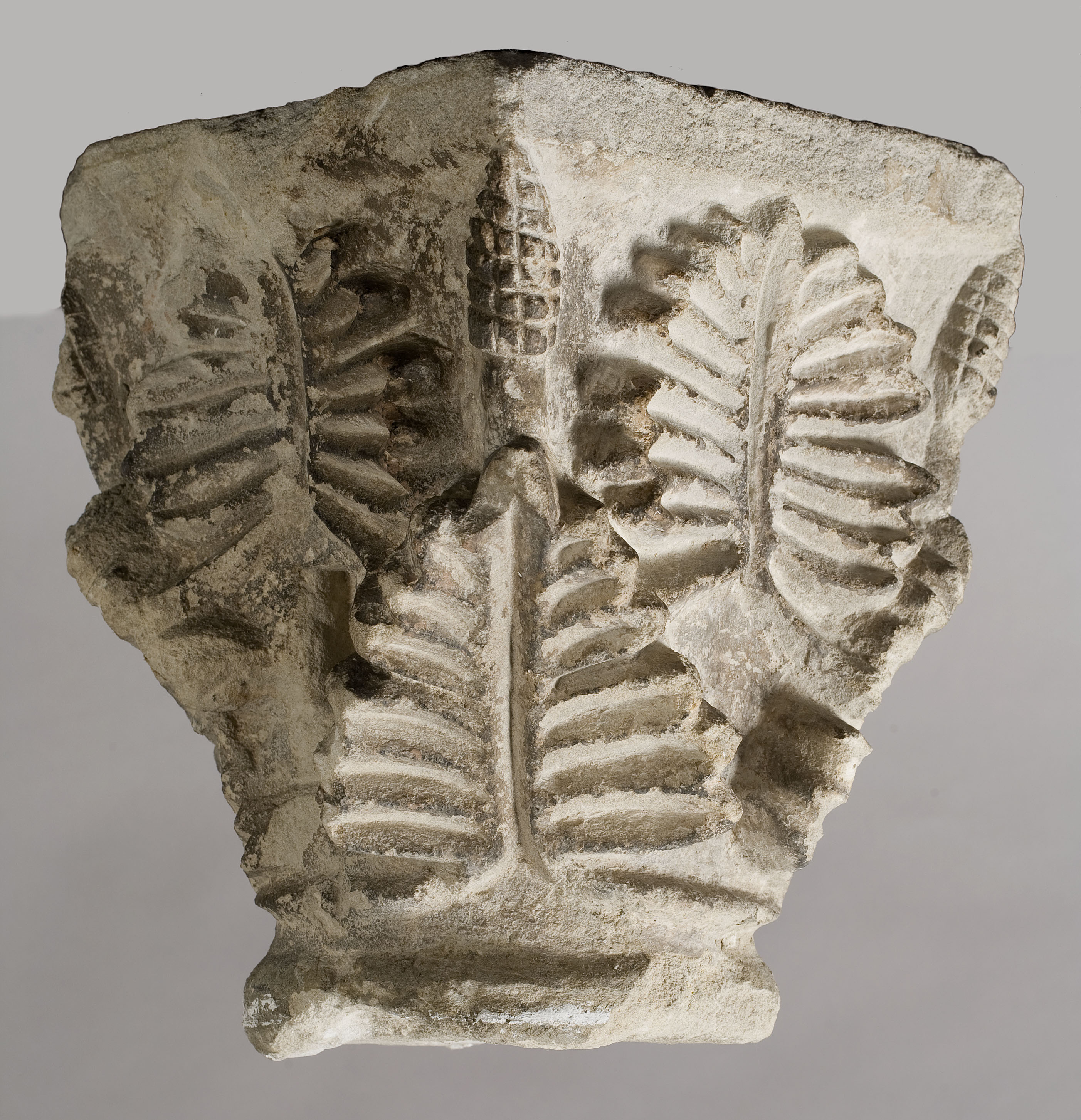 image for: Anònim - Capitell amb decoració de grans fulles i petites pinyes - Segle XIII