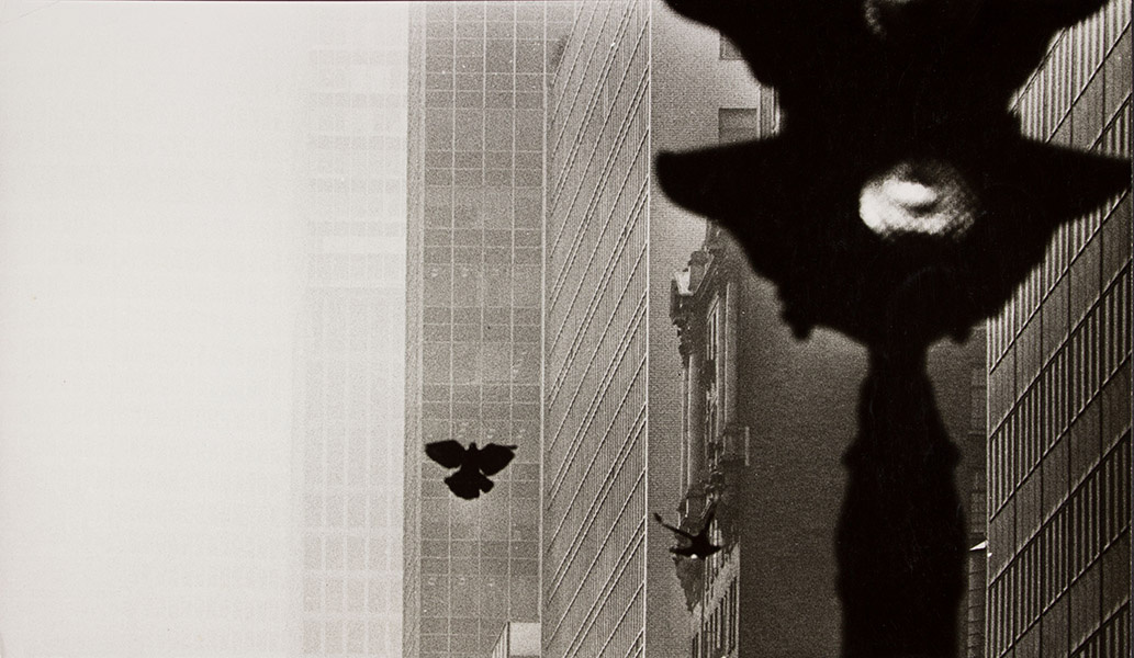 image for: Oriol Maspons - Fotografia per al llibre «Poeta en Nueva York », de Federico García Lorca - 1965