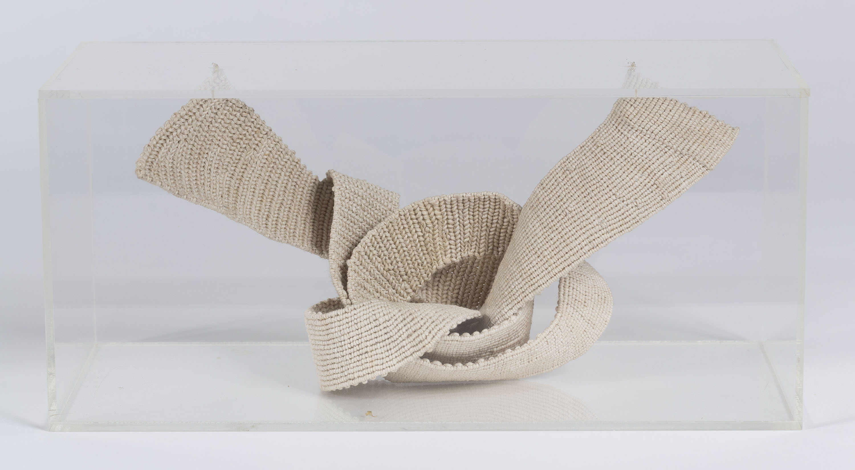 image for: Aurèlia Muñoz - Nus - 1978
