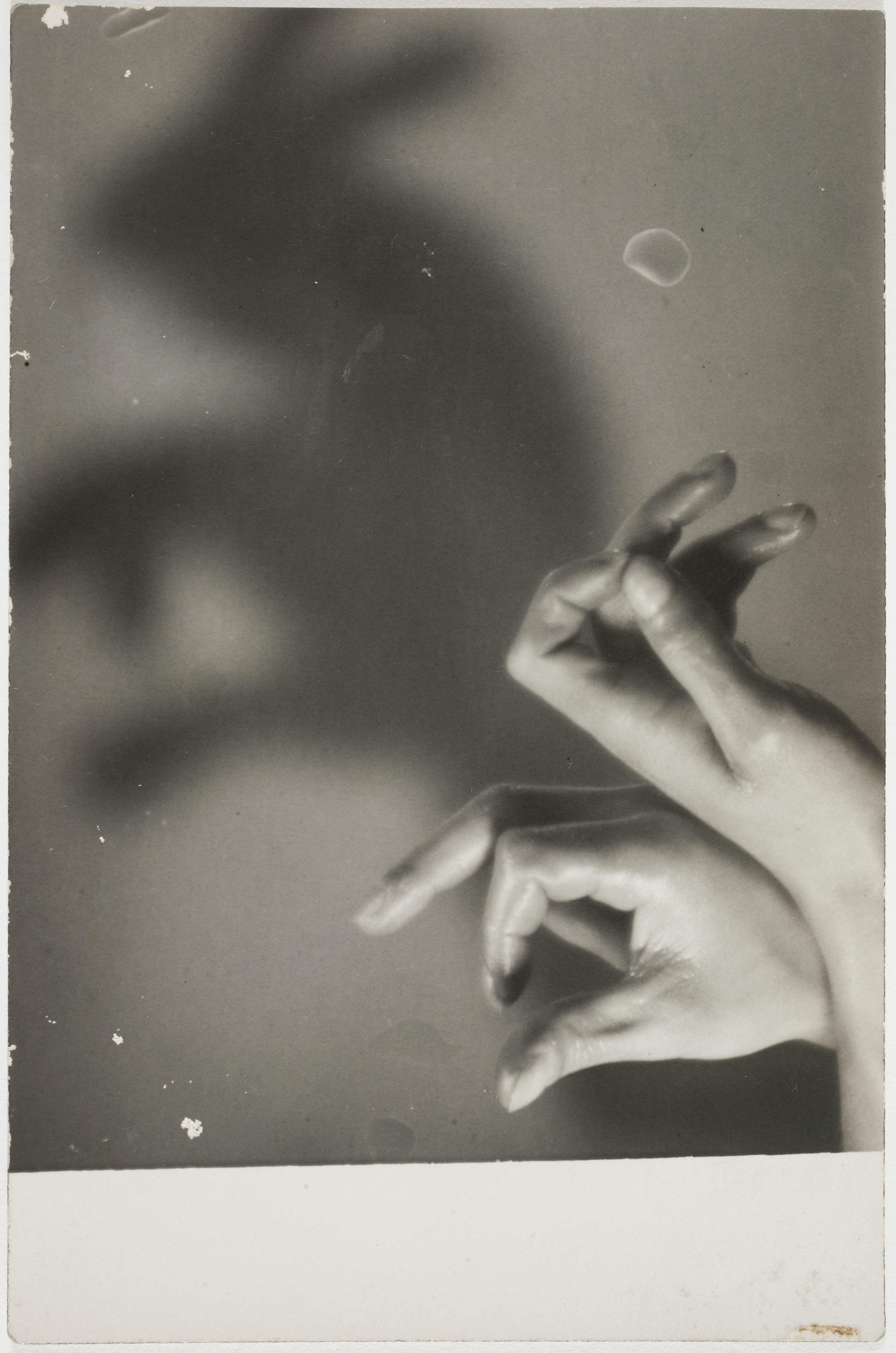 image for: Josep Maria Lladó - El conill - Cap a 1932