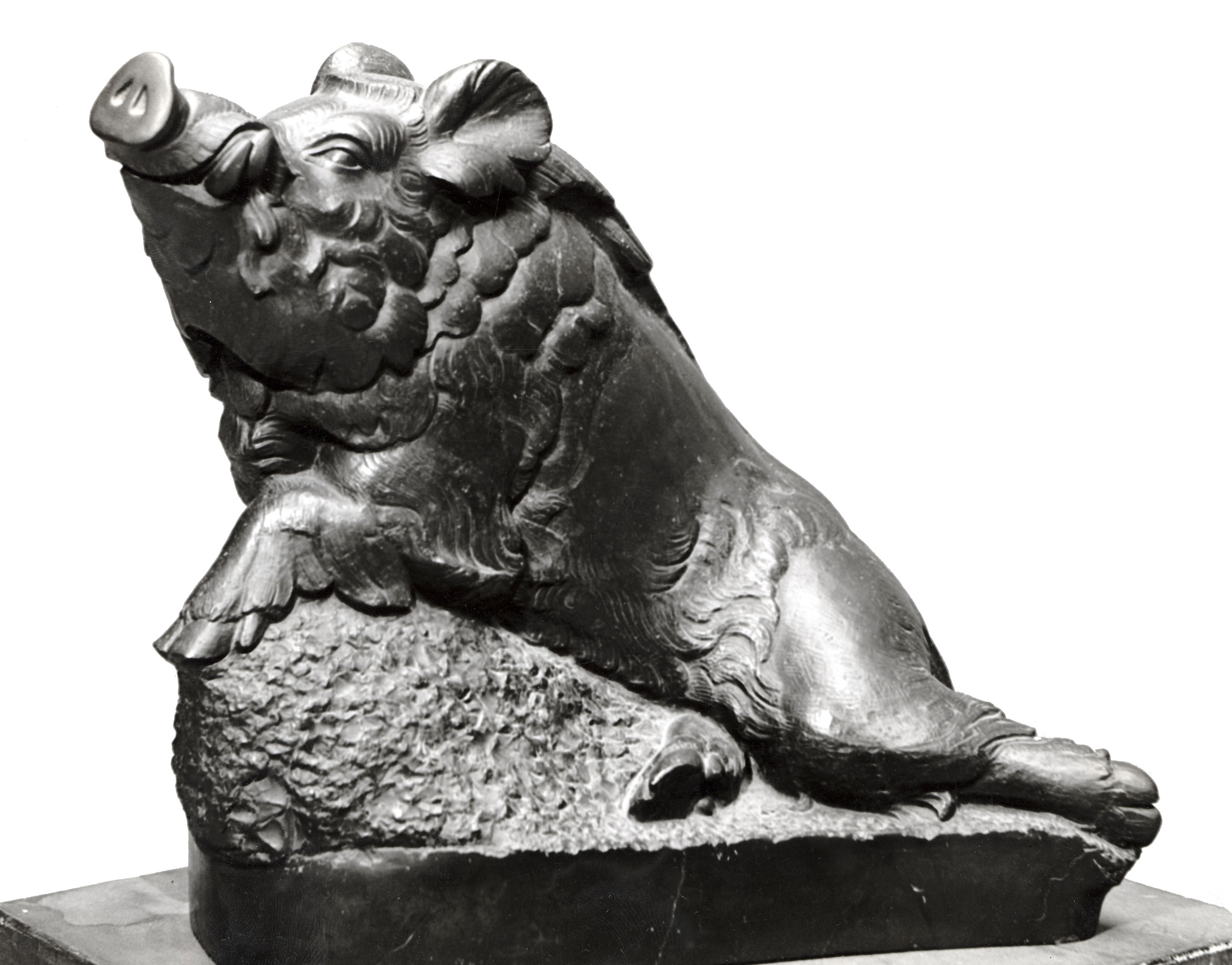 image for: Josep Viladomat - Senglar - 1951