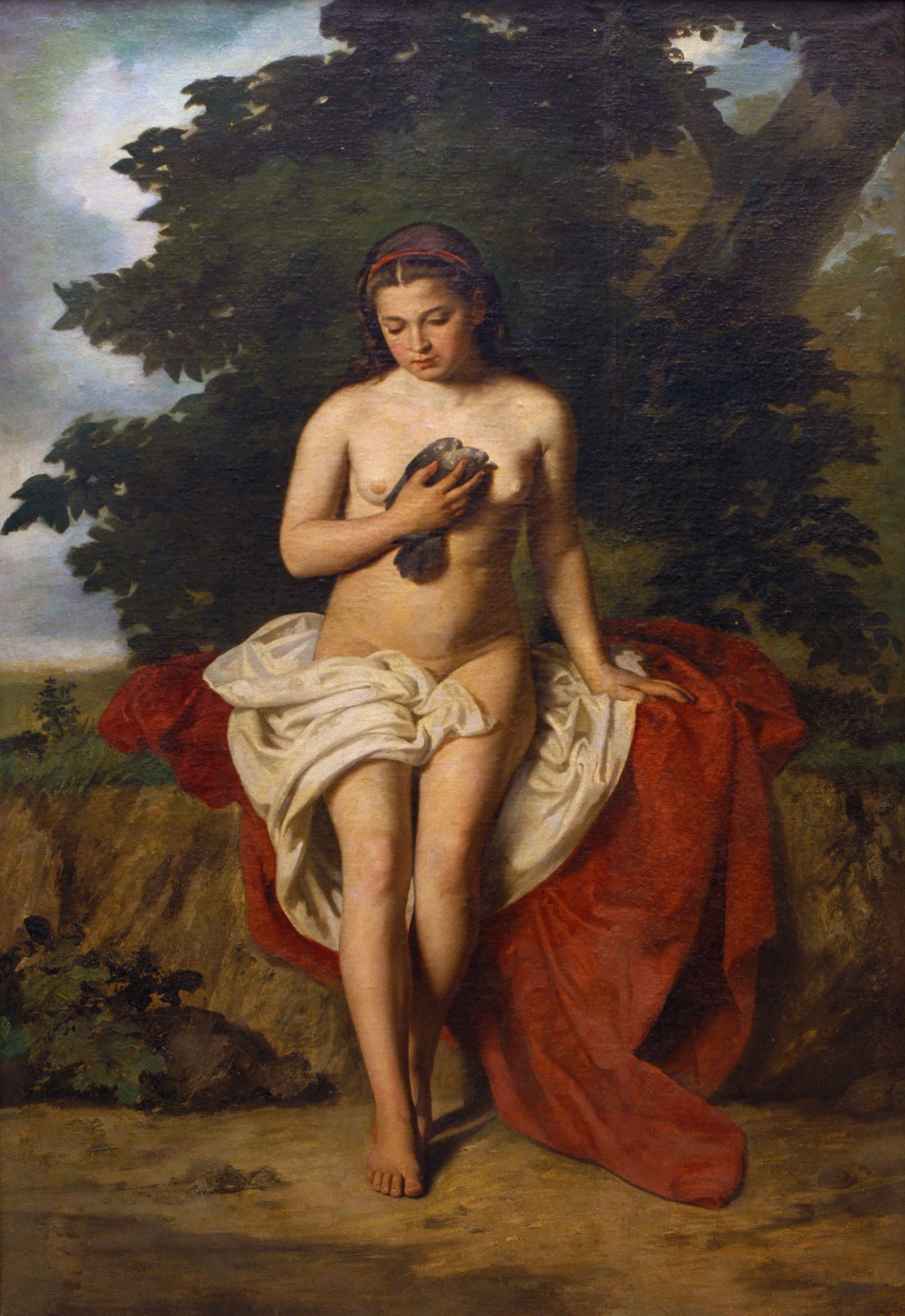 image for: Juan Cordero - Venus i el colom - 1867