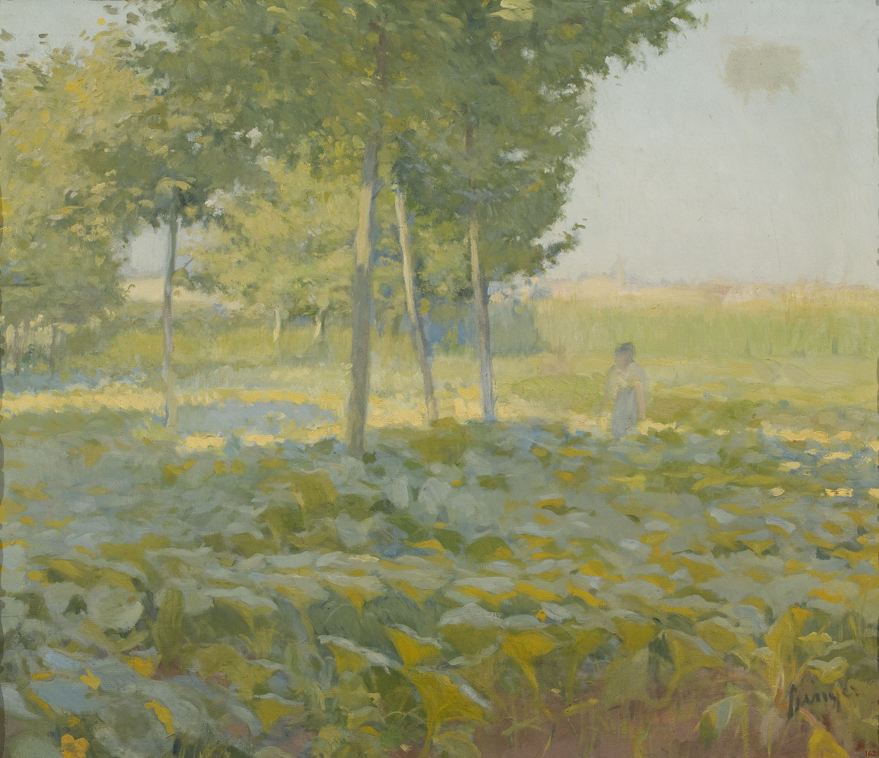 image for: Joaquim Sunyer - Horta assolellada - Cap a 1894