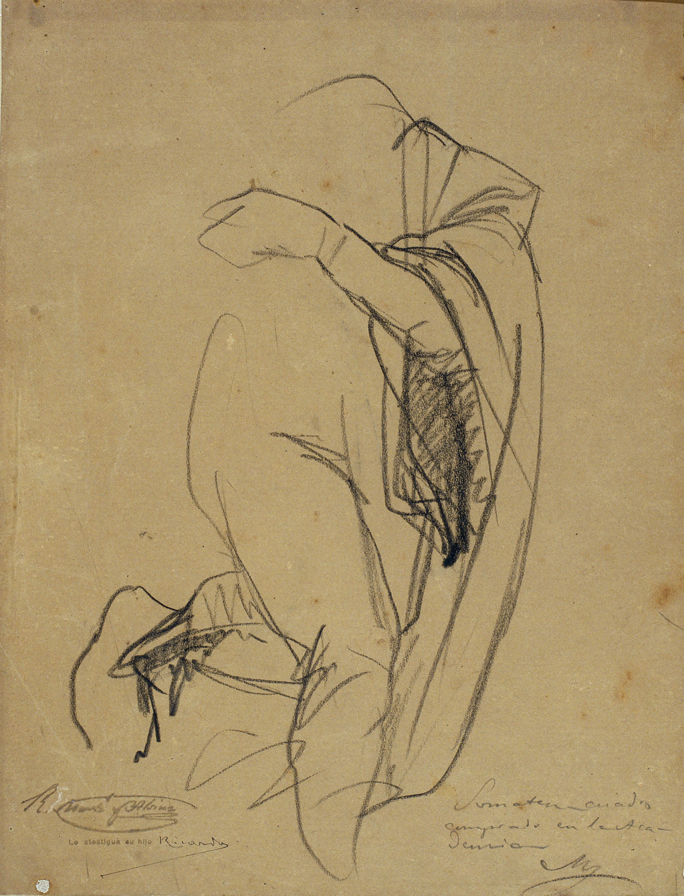 image for: Ramon Martí i Alsina - Estudi de cos sense cap drapejat per al quadre «El Sometent del Bruc» - Cap a 1866