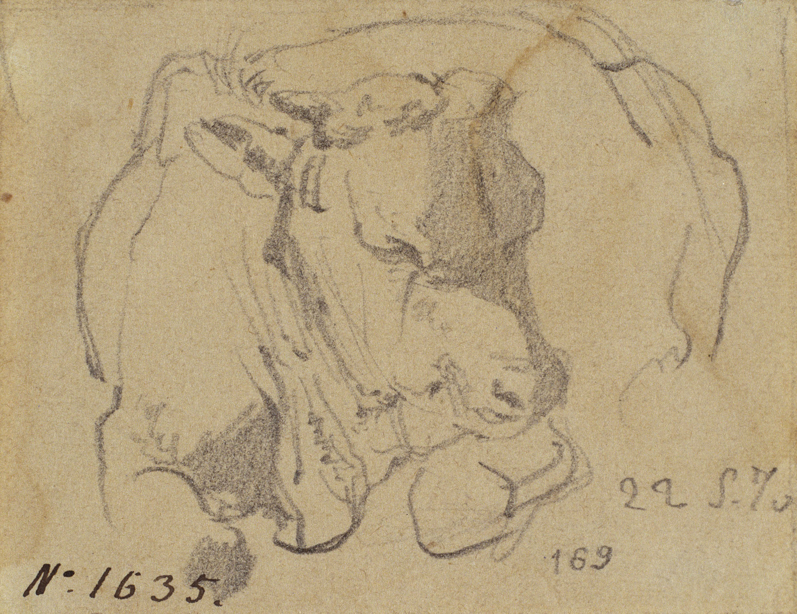 image for: Ramon Martí i Alsina - Un bou ajupit - 22 de maig de 1870