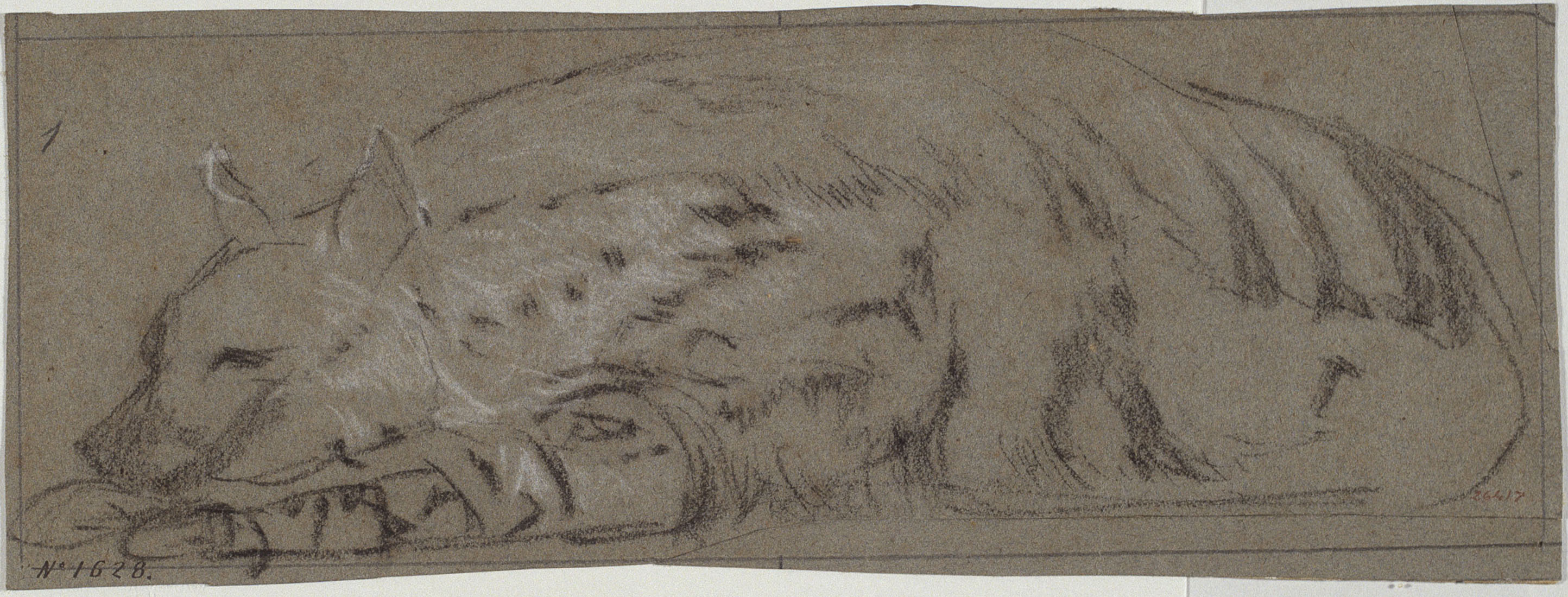 image for: Ramon Martí i Alsina - Una guineu descansant - Cap a 1862