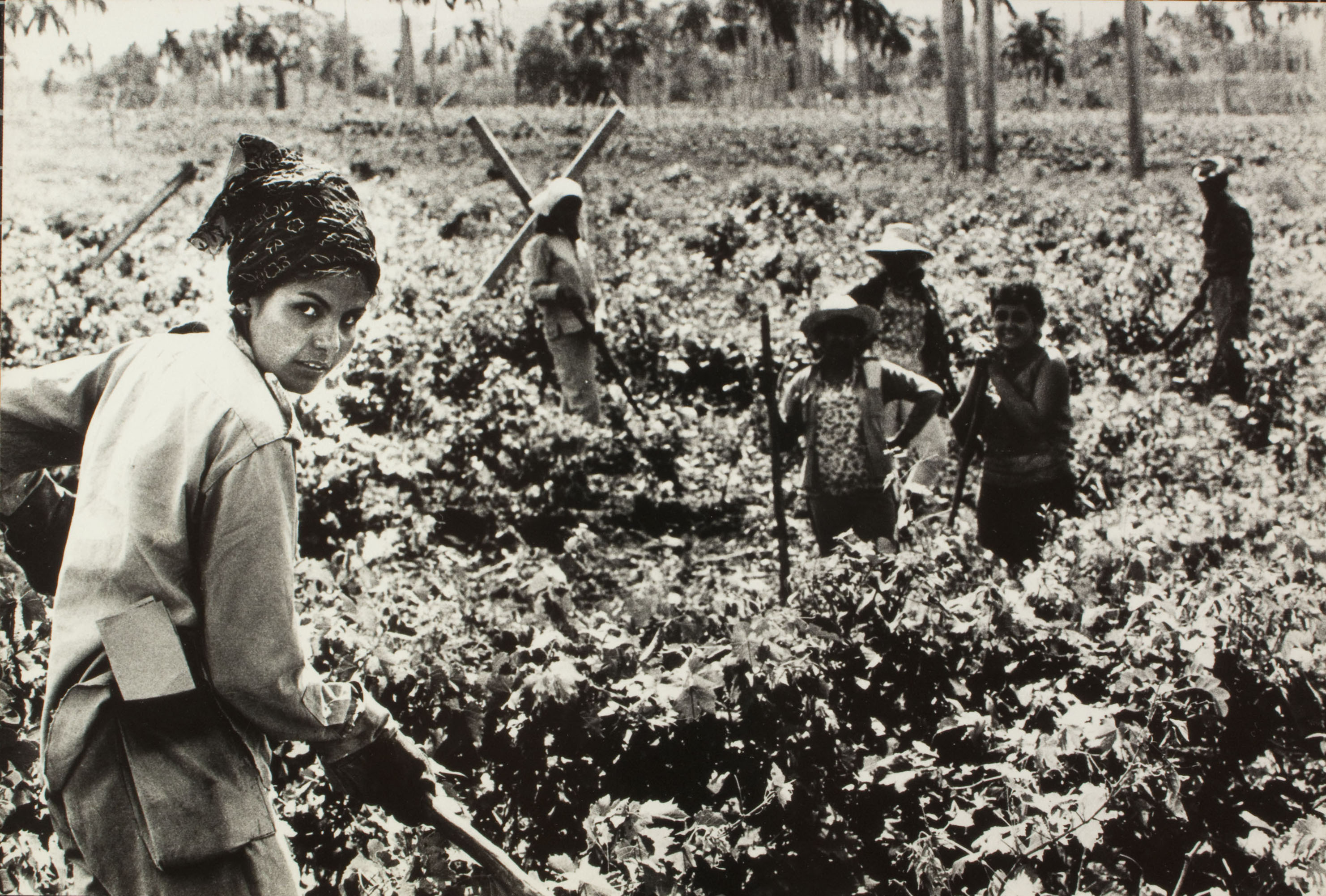 image for: Oriol Maspons - Sense títol (Cuba) - Agost de 1967